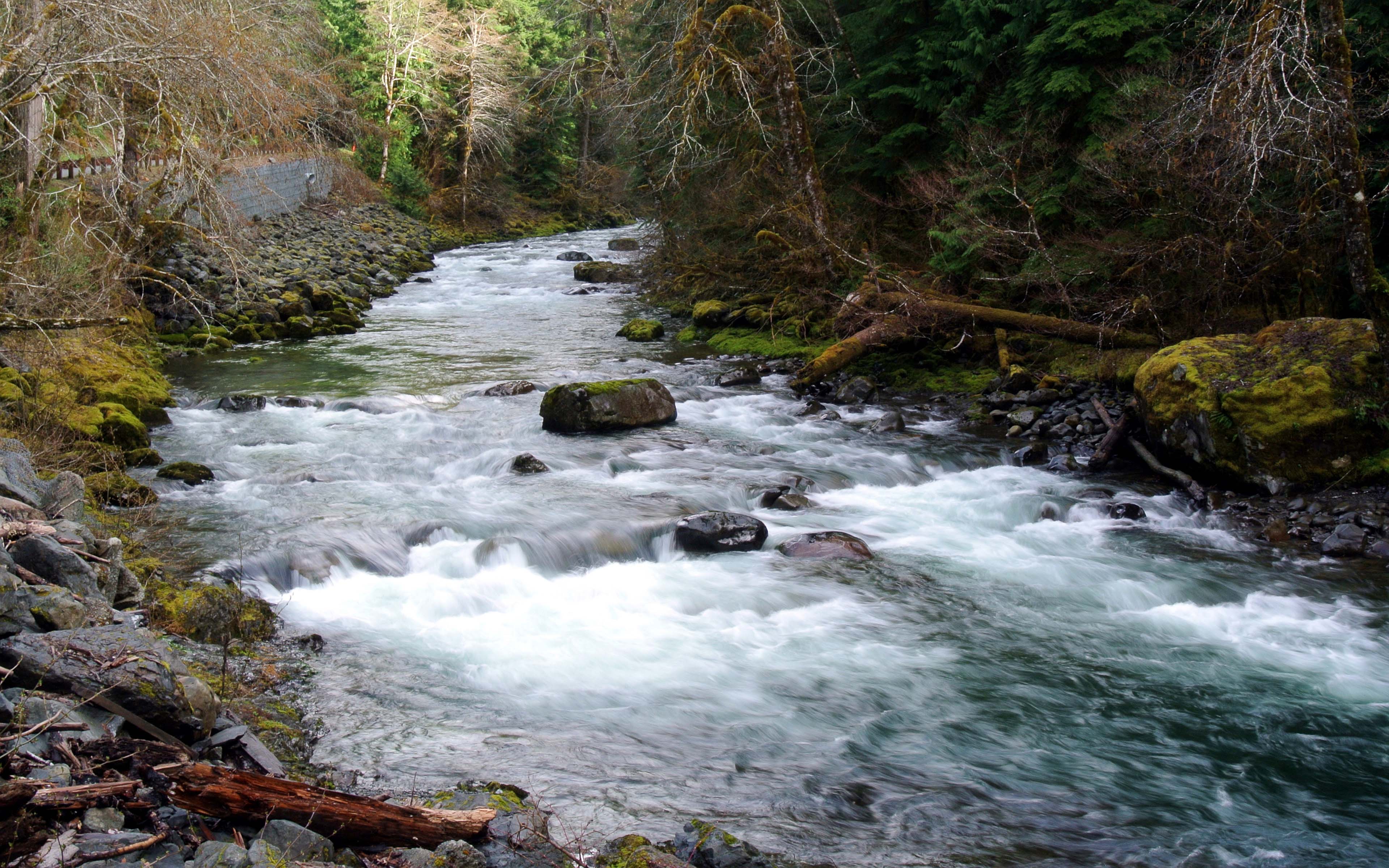 Sol Duc River Washington State Olympic National Park United States