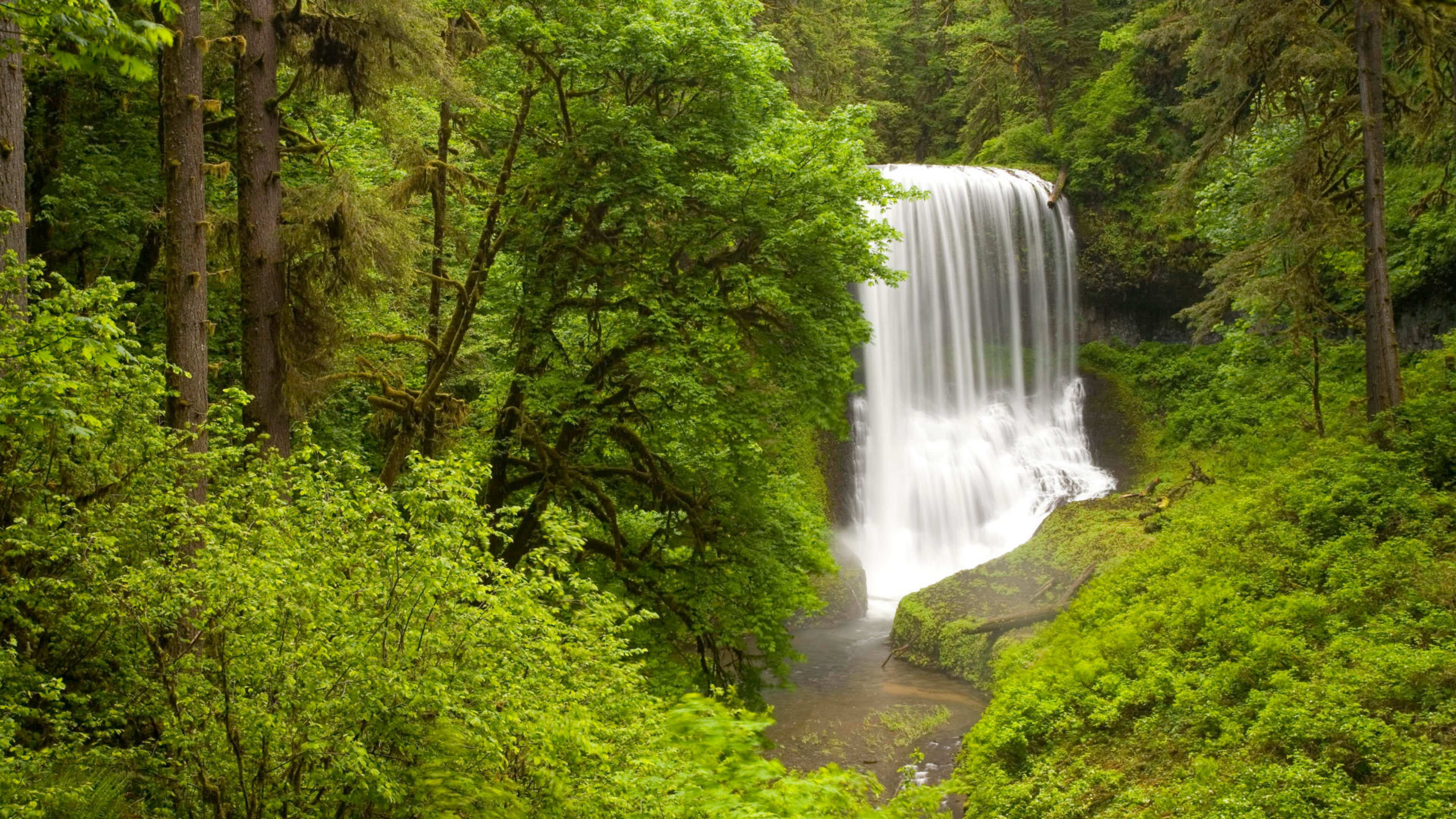 Spring Landscape Nature Waterfall Forest With Green Trees Oregon State