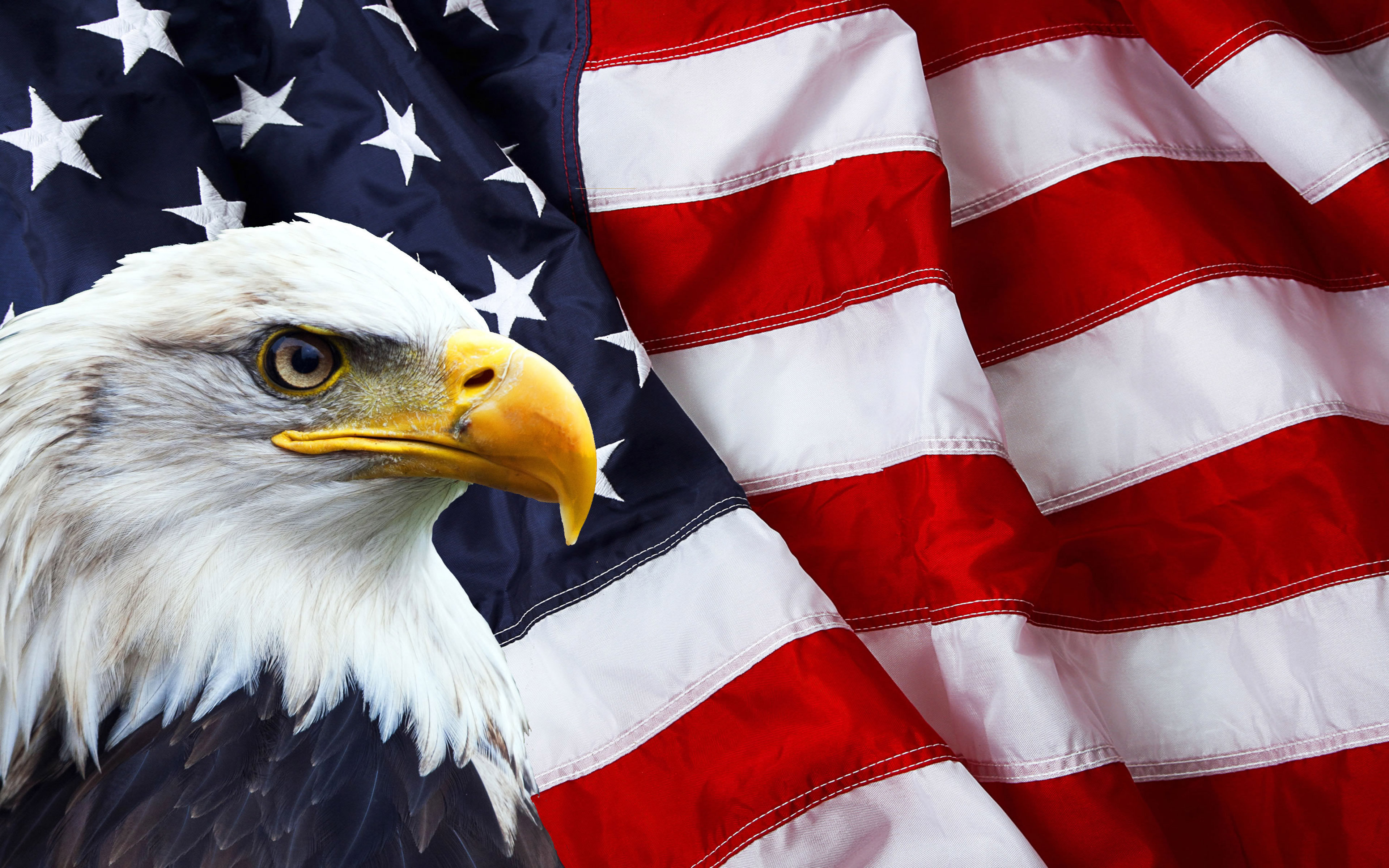 American Flag And Bald Eagle Photo Symbols Of North America 3840x2400