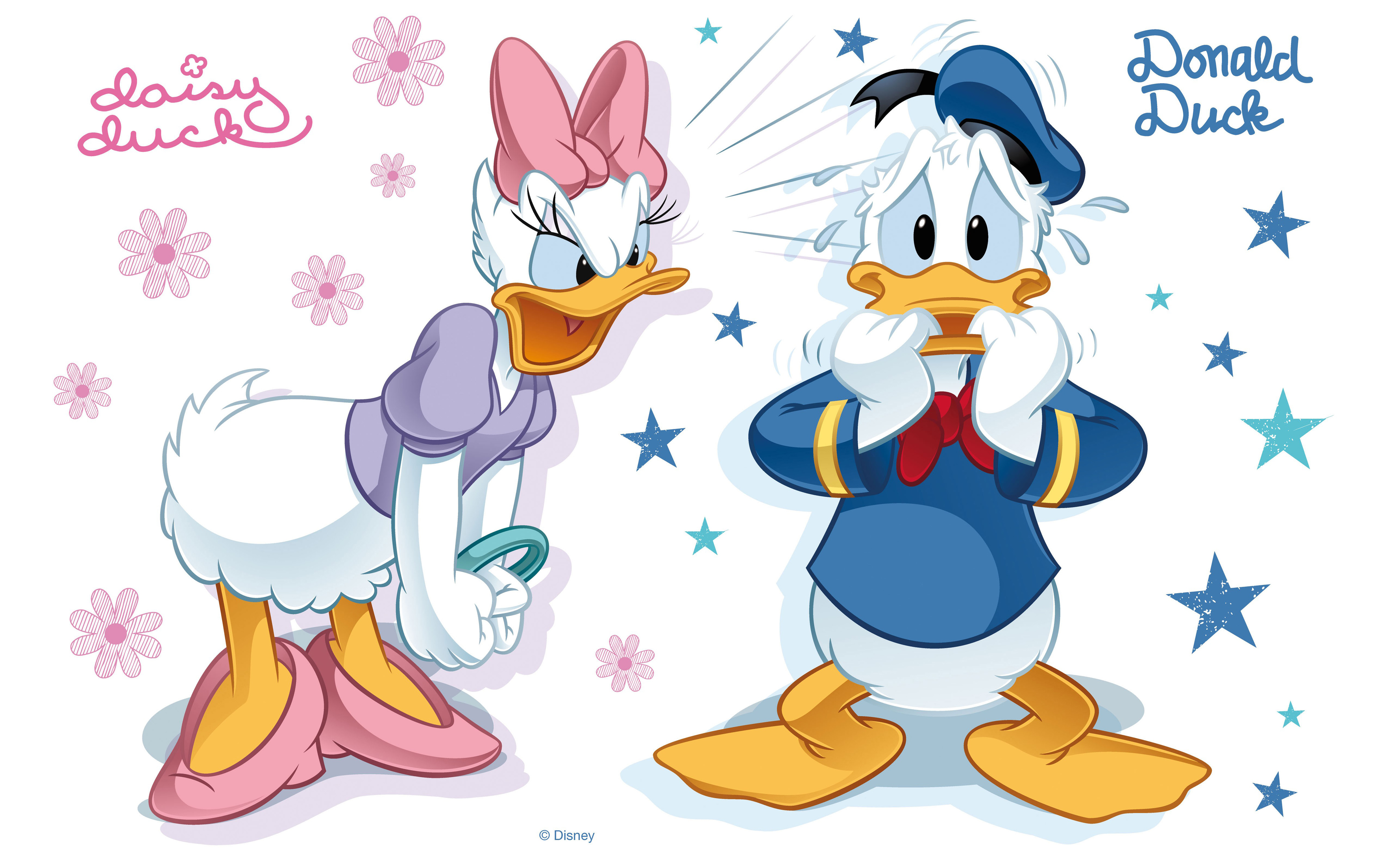 Donald Duck And Daisy Duck Disney Cartoon Tense Moments. 
