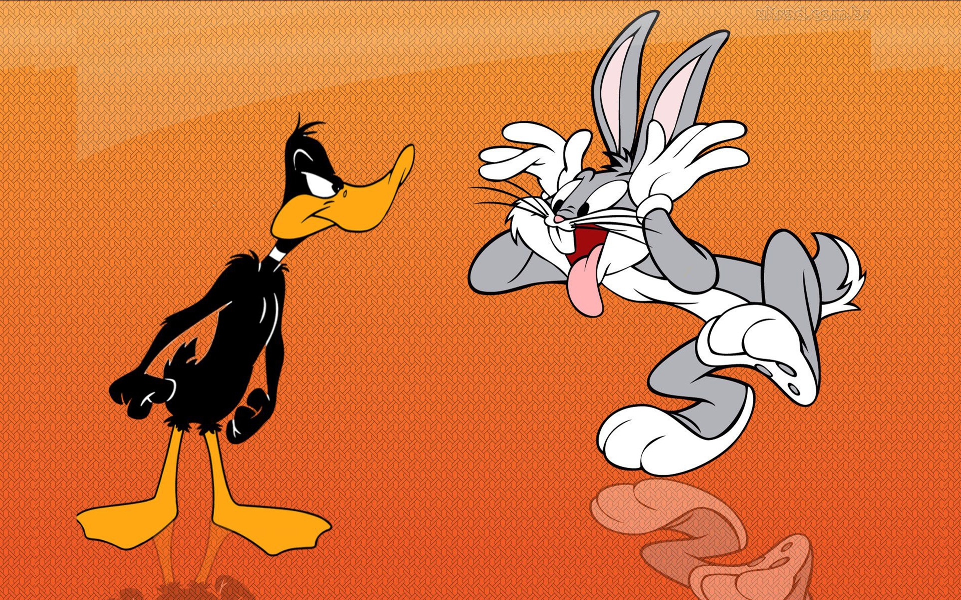 Bugs Bunny And Daffy Duck Funny Cartoon Hd Wallpaper 1920x1200 :  