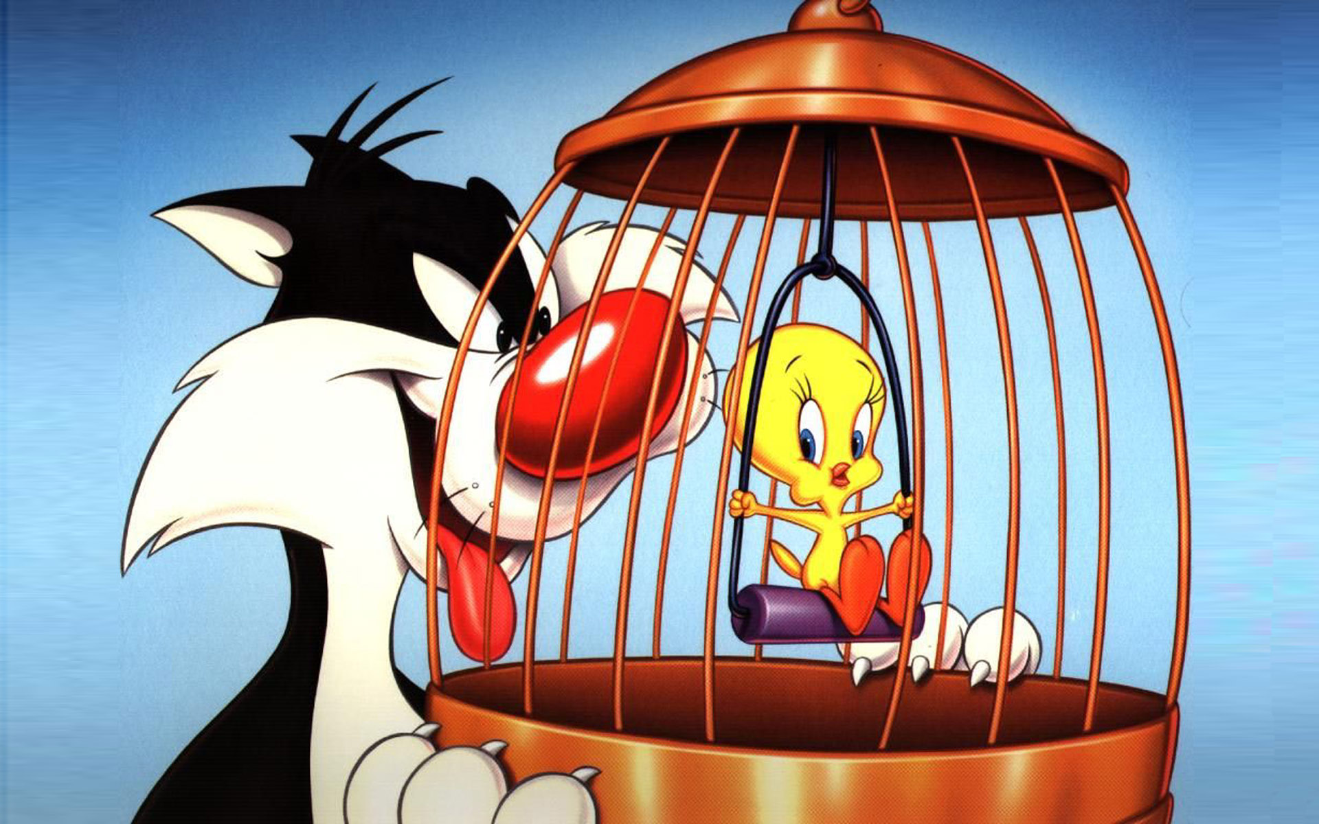 Cage Sylvester The Cat And Tweety Bird Cartoon Wallpaper Hd 1920x1200