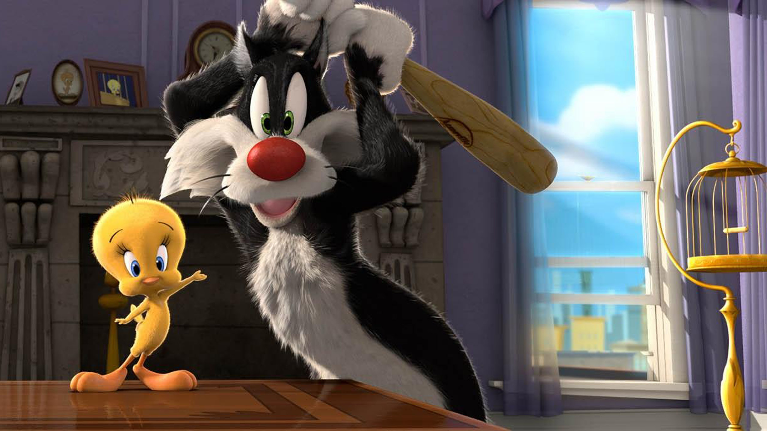 Cartoons Sylvester Cat And Tweety Bird Looney Tunes Hd Wallpaper 2560x1440  : 
