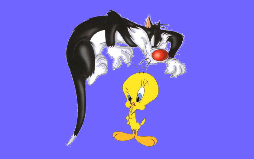 Good Chicken Tweety And Bad Cat Sylvester Cartoon Hd Wallpaper 1920x1200 :  
