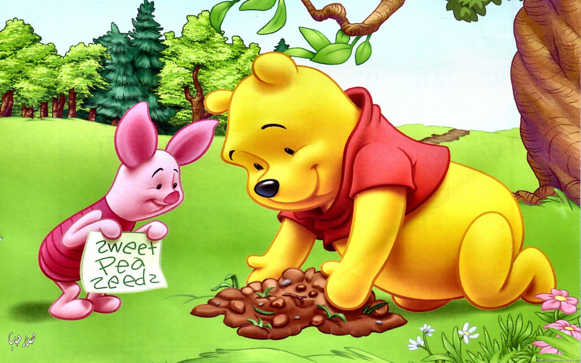 Piglet And Winnie The Pooh Planting Flowers Hd Wallpapers 1920x1200.