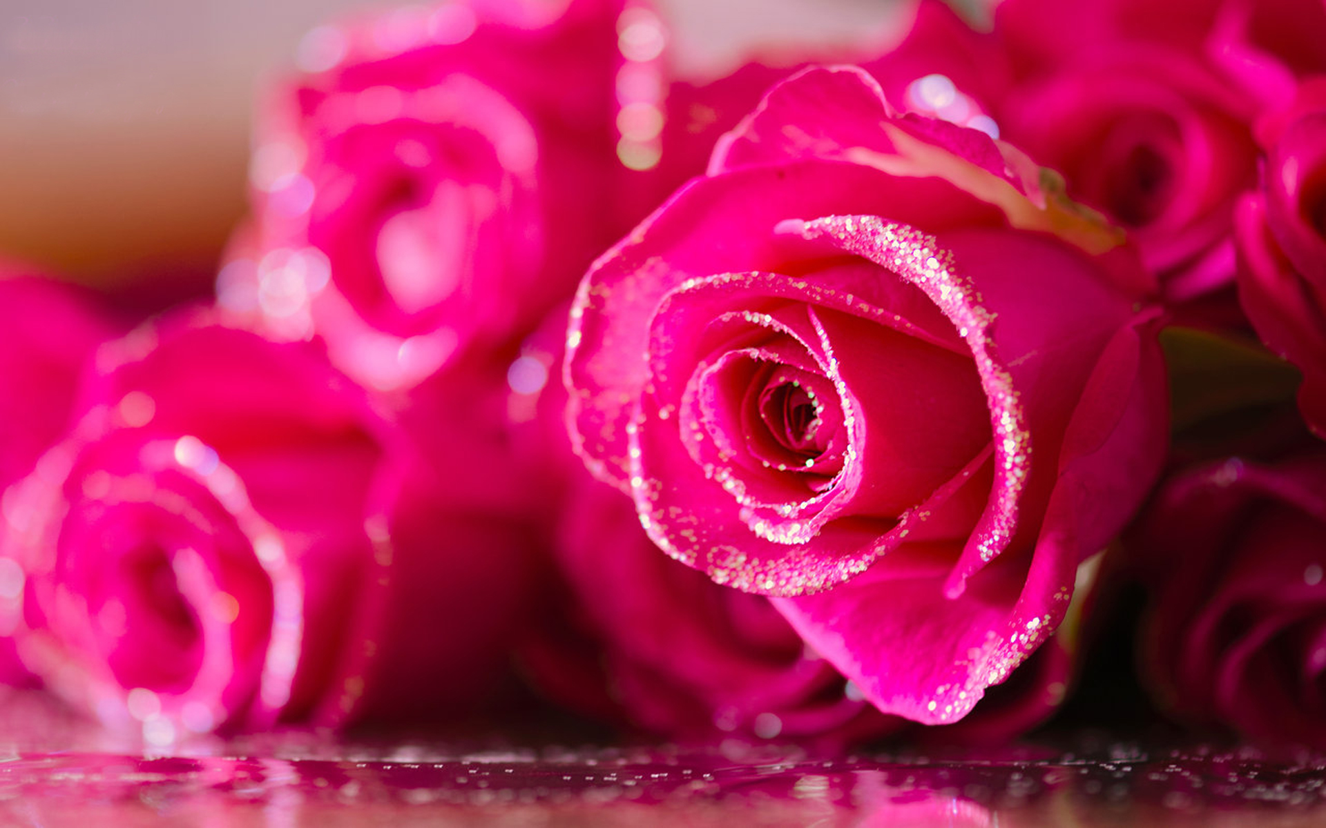 Pretty Pink Flowers Dewdrops Pink Love Wallpaper Hd For Desktop