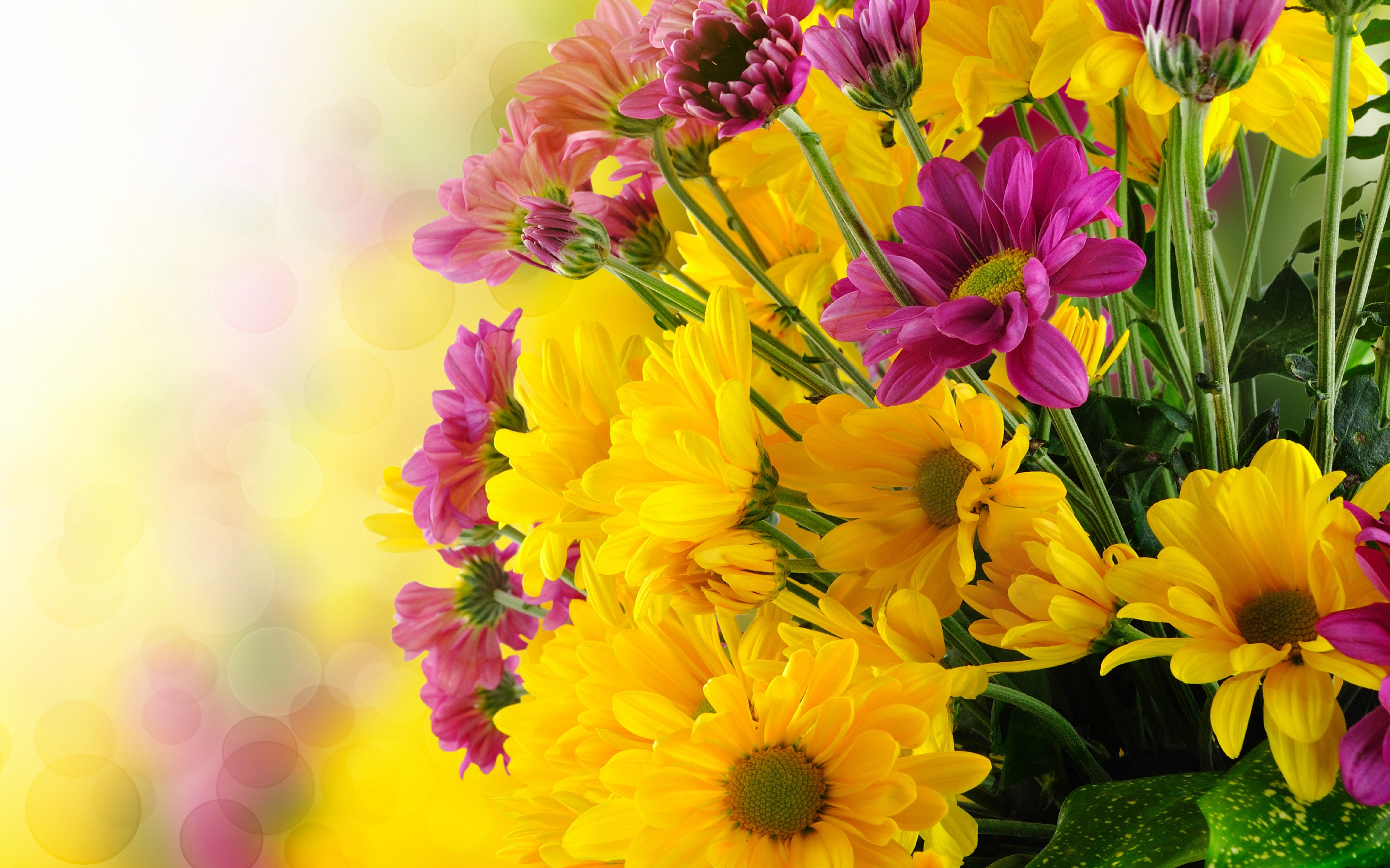 Beautiful Flowers Bouquet With Yellow And Purple Green Flower Petals  Pictures Hd Wallpaper For Your Mobile Phone Tablet And Laptop Computer  6000x3750 : 