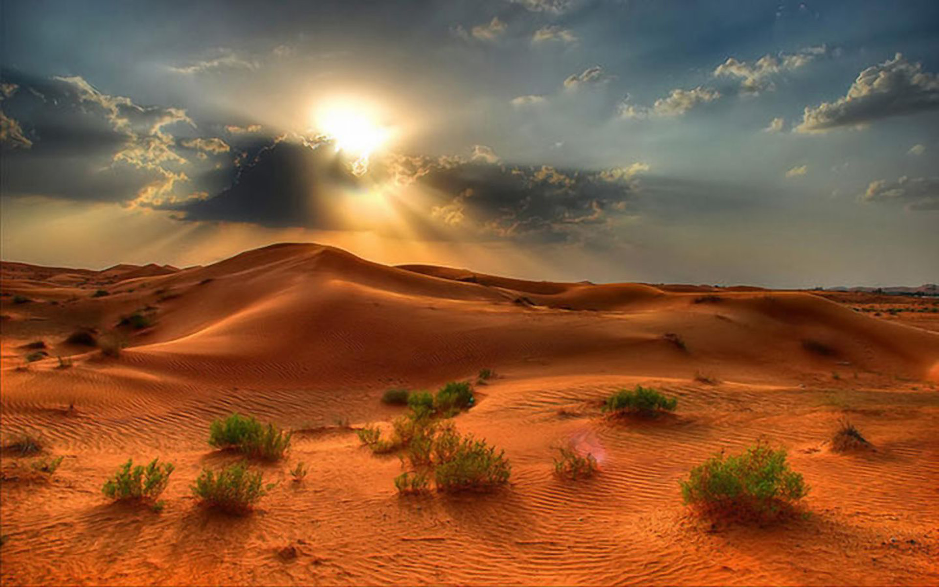 Desert Landscape Summer Sunset In The Desert Red Sand Beautiful