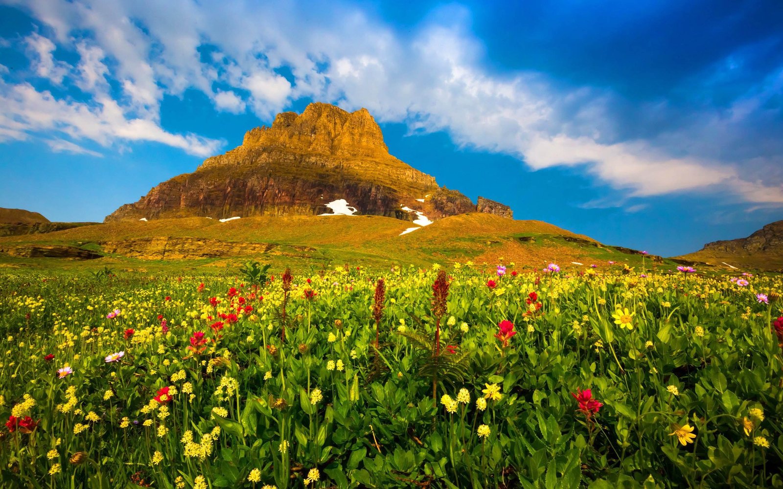 Flowers valley. Плато Лаго-Наки Альпийские Луга. Цветочная Долина, Перуджа, Италия. Альпийские Луга новая Зеландия. Альпийские Луга Кавказа.