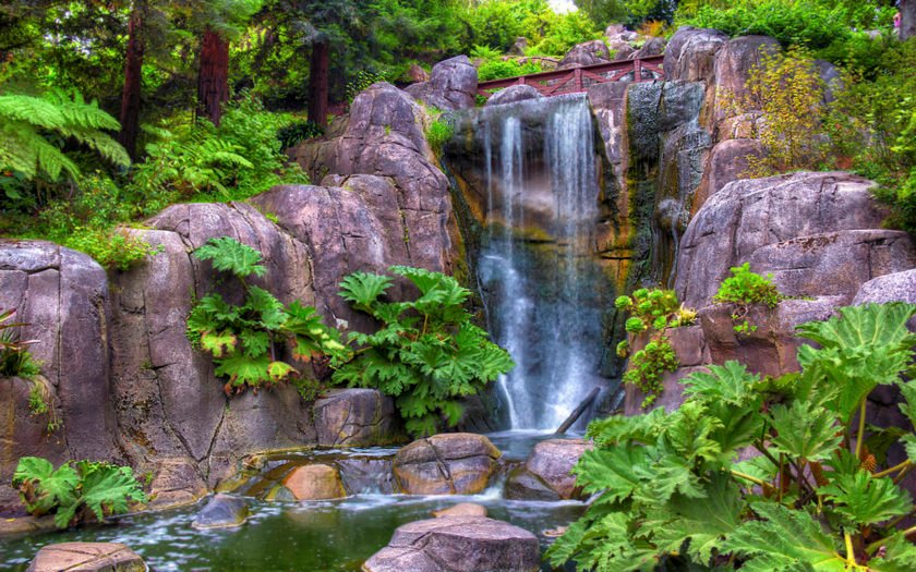 Golden Gate Park Strawberry Hill Waterfall San Francisco California Usa Computer Wallpaper Hd Full Screen 1920x1200 : Golden Gate Park Strawberry Hill Waterfall San Francisco California Usa Computer Wallpaper Hd Full Screen 1920x1200 :