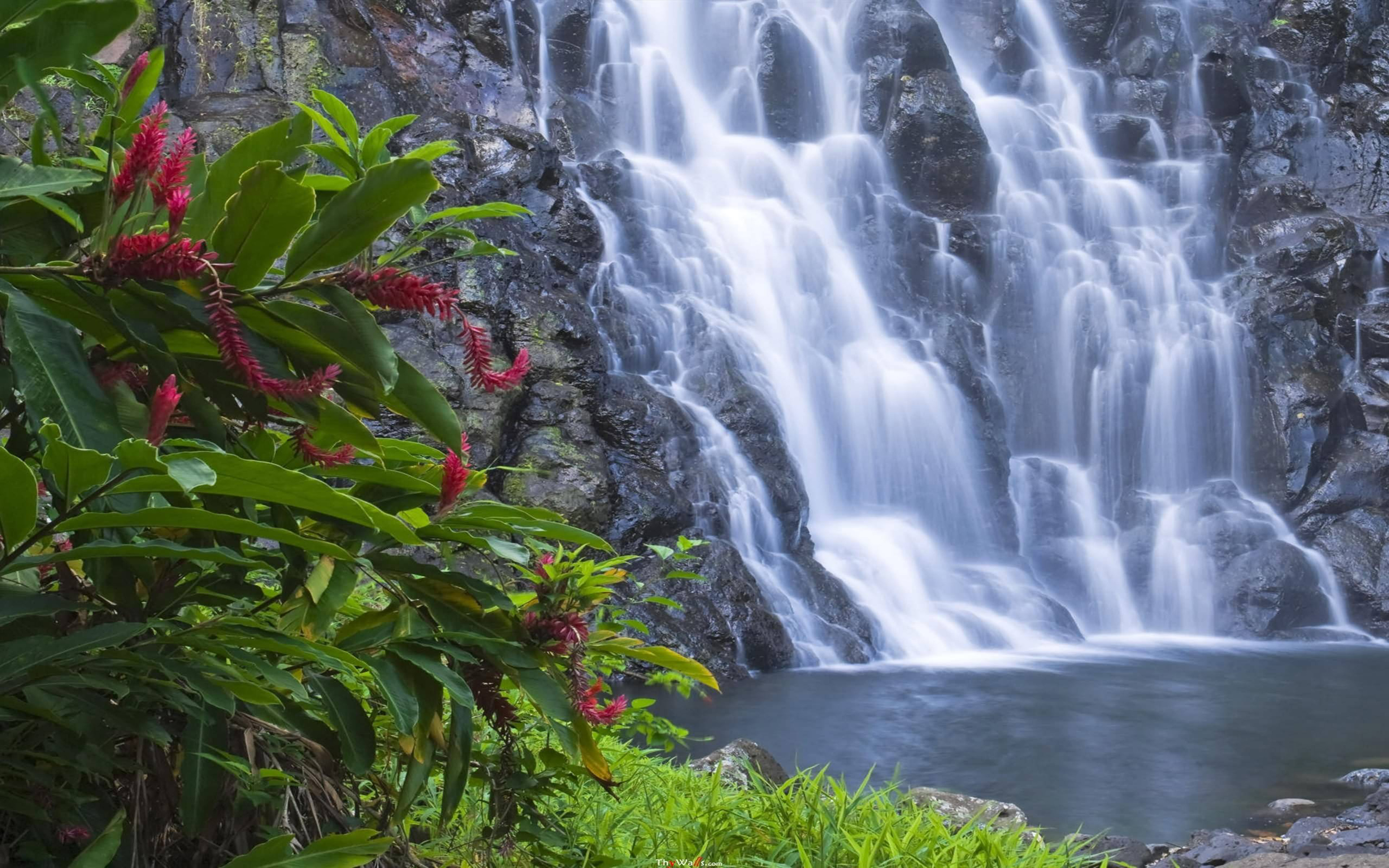 Обои красивые водопады. Живая природа водопады. Красивые водопады. Водопад картинки. Картинки на рабочий стол водопад.