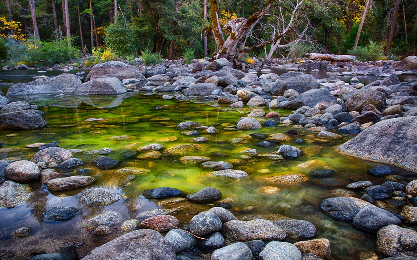 Merced River Summer Weather Yosemite National Park California Usa