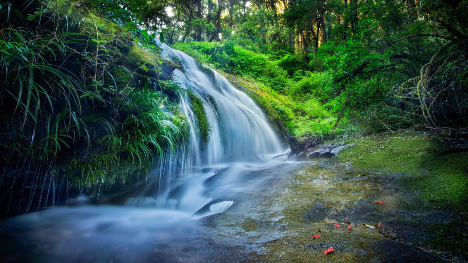 thailand waterfall forest river green grass wallpaper hd