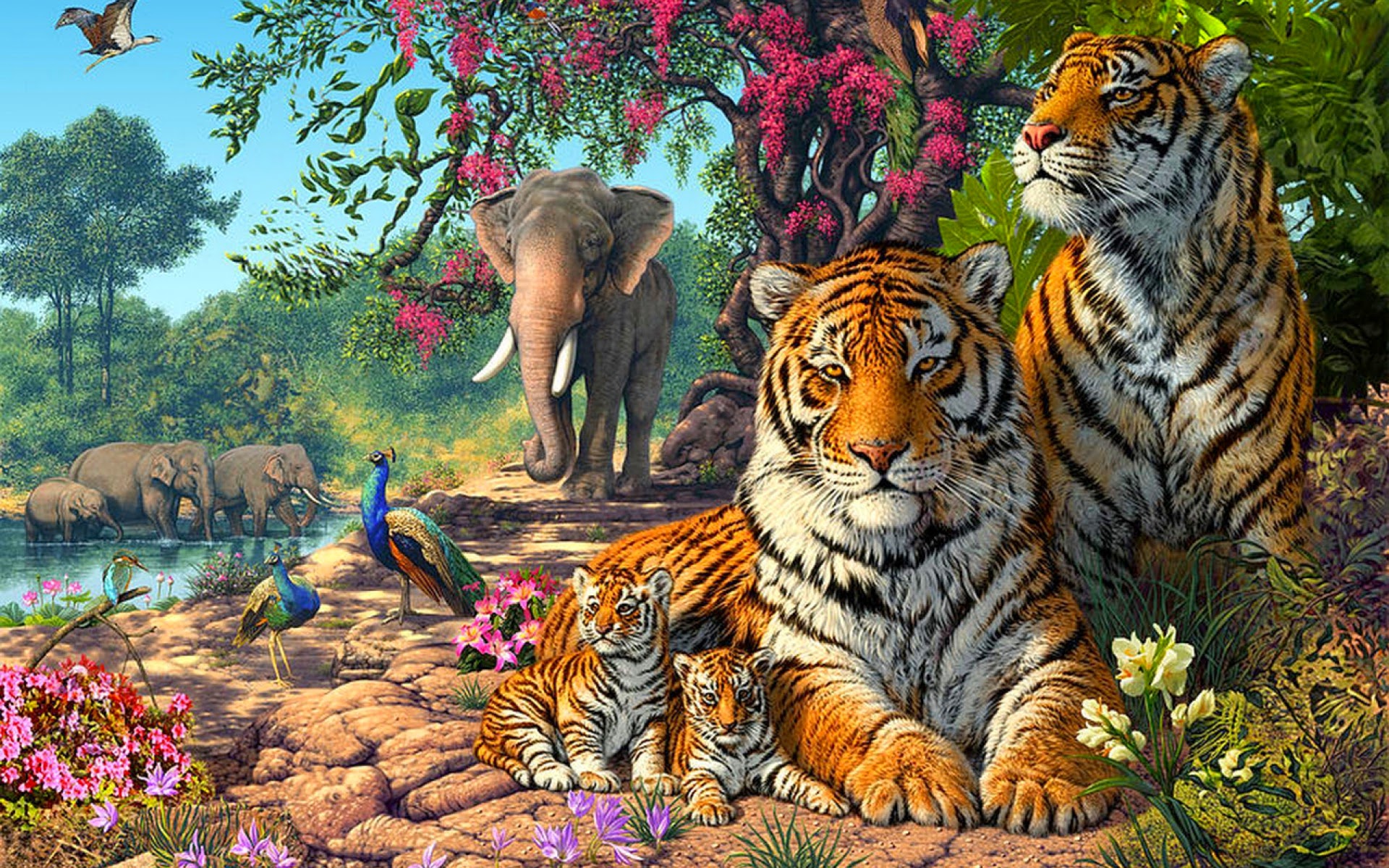 Tigers Family Exotic Birds Paun Elephants Jungle Nature Hd Wallpaper For  Animal Lovers 1920x1200 : 