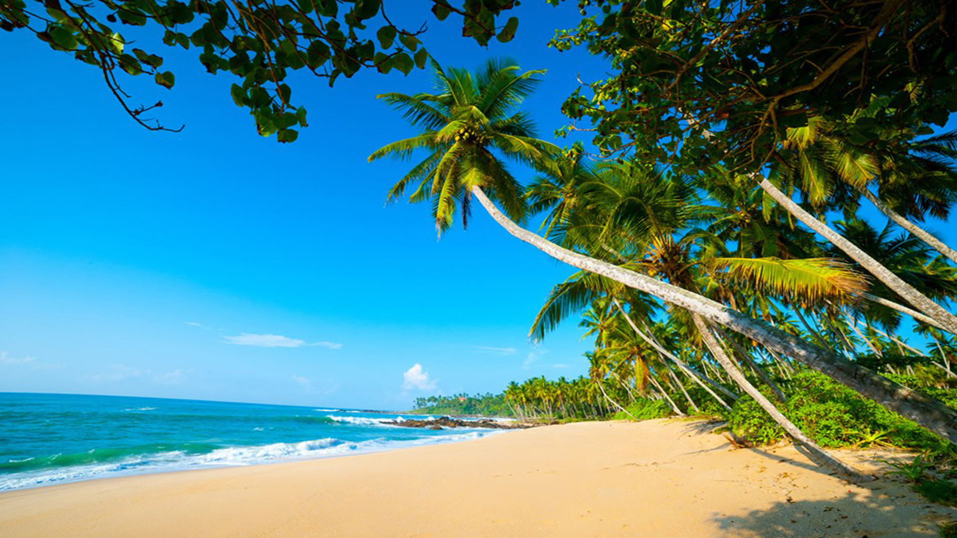 Arugambay Exoctic Beaches Sri Lanka Sandy Beaches Blue ...