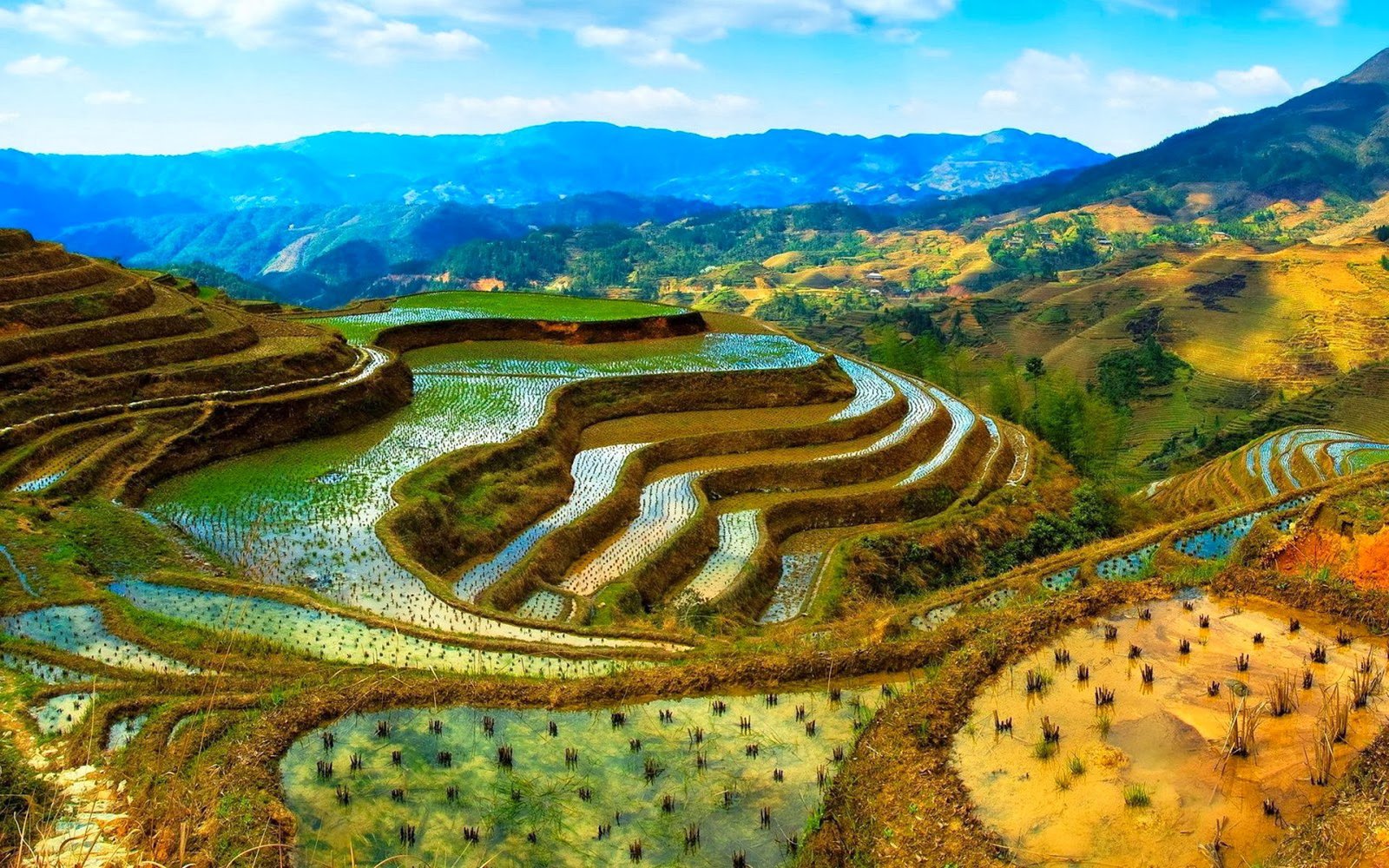 Banaue Rice Terraces Indonesia Wallpapers Hd 1920x1200 : Wallpapers13.com