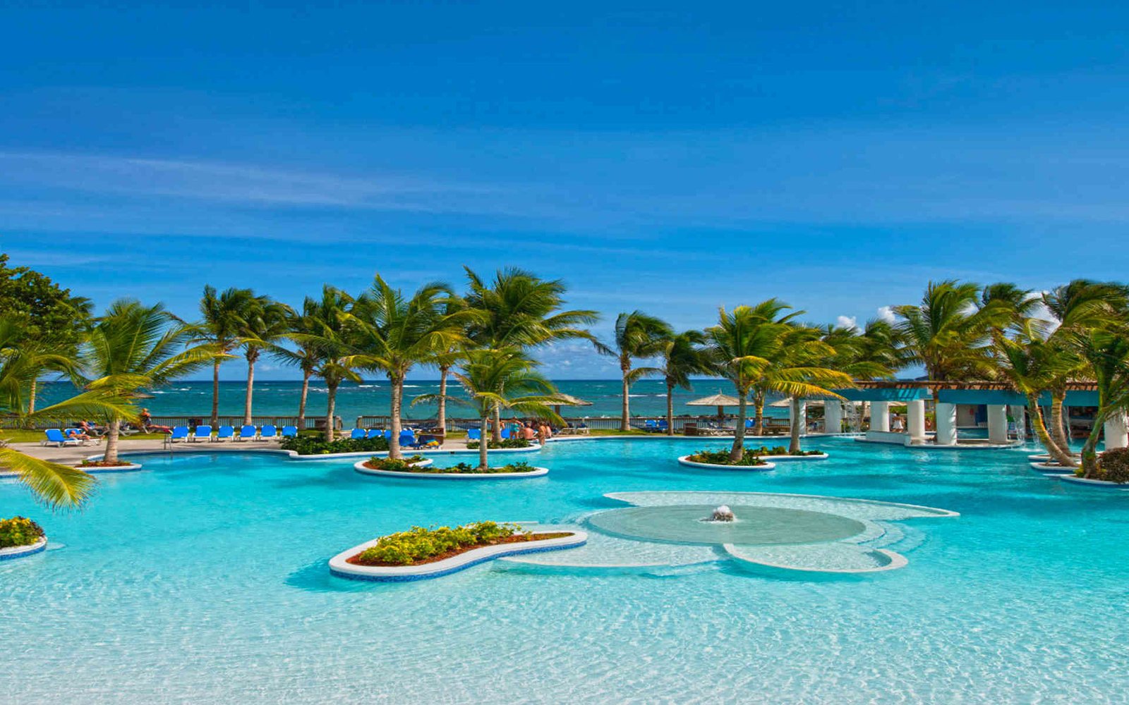 Caribbean Tropical Beaches Resorts Palm Trees Trees Blue 