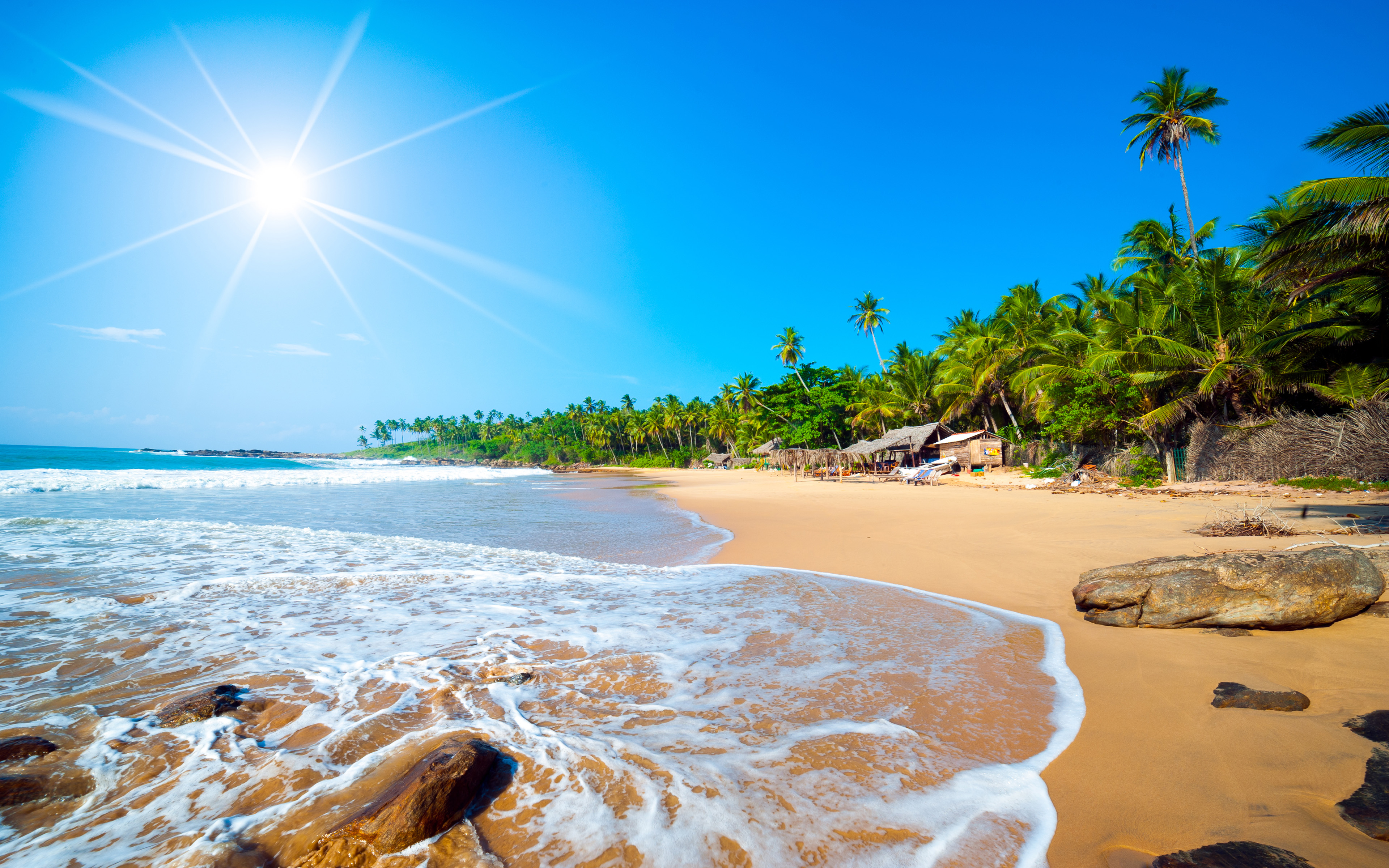 Exotic Sri Lanka Jaffna Beach Tropical Forest Palm Trees Ocean Waves
