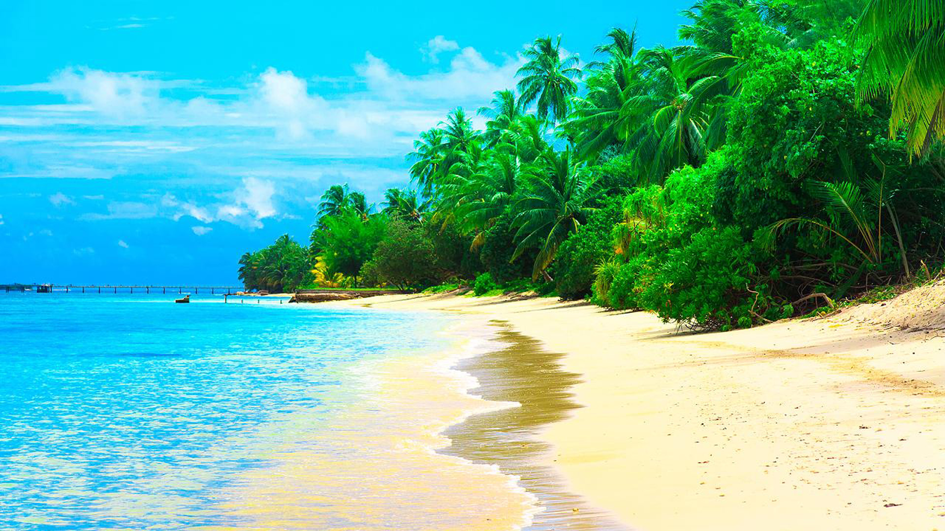 Maldives Summer Resort Sea Sandy Beach Coconut Trees Waves Desktop Wallpaper  Hd 1920x1080 : 
