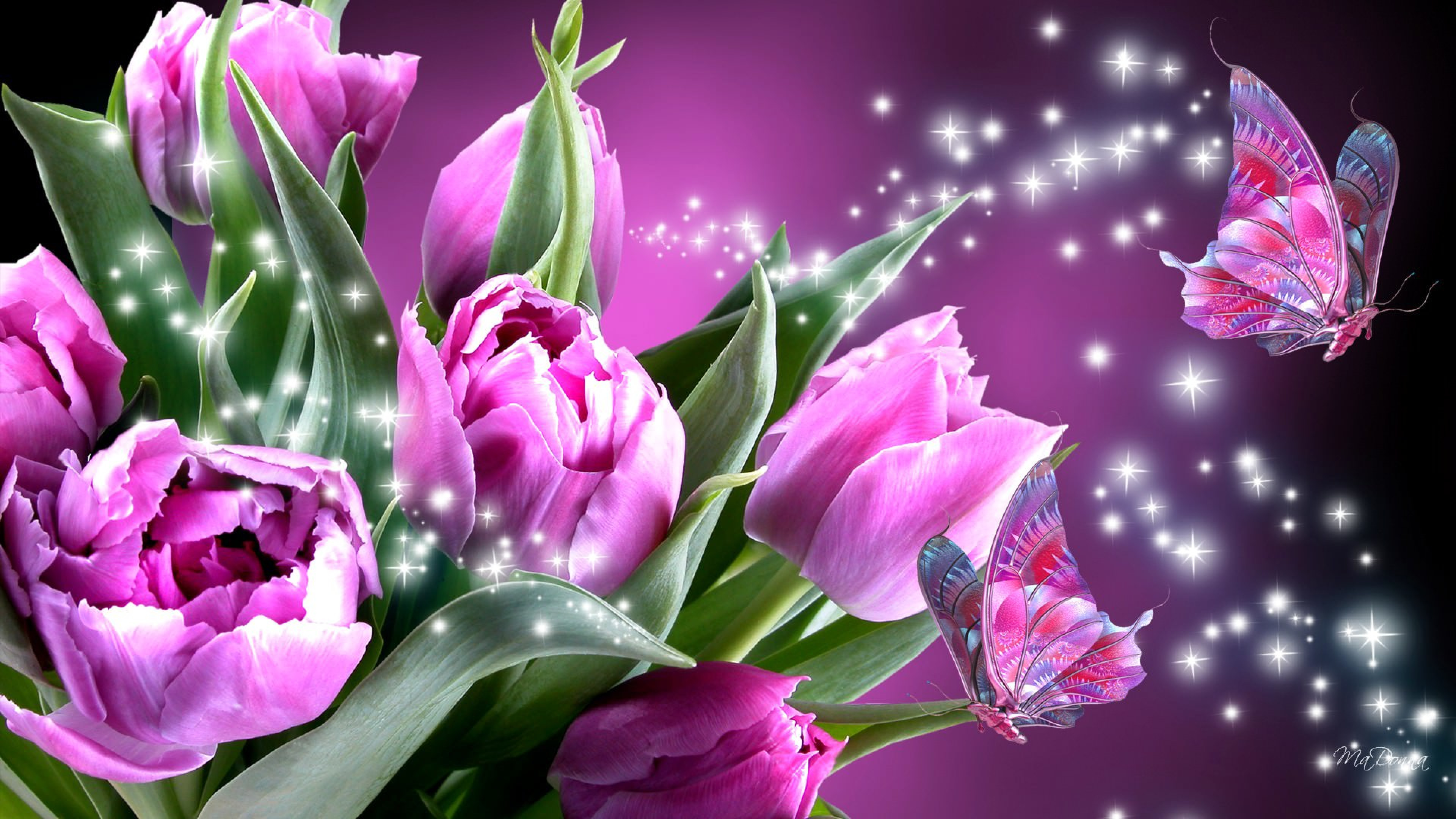 Открытки на экран телефона. Шикарные тюльпаны. Весенние цветы тюльпаны. Розовые тюльпаны. Цветы на заставку.