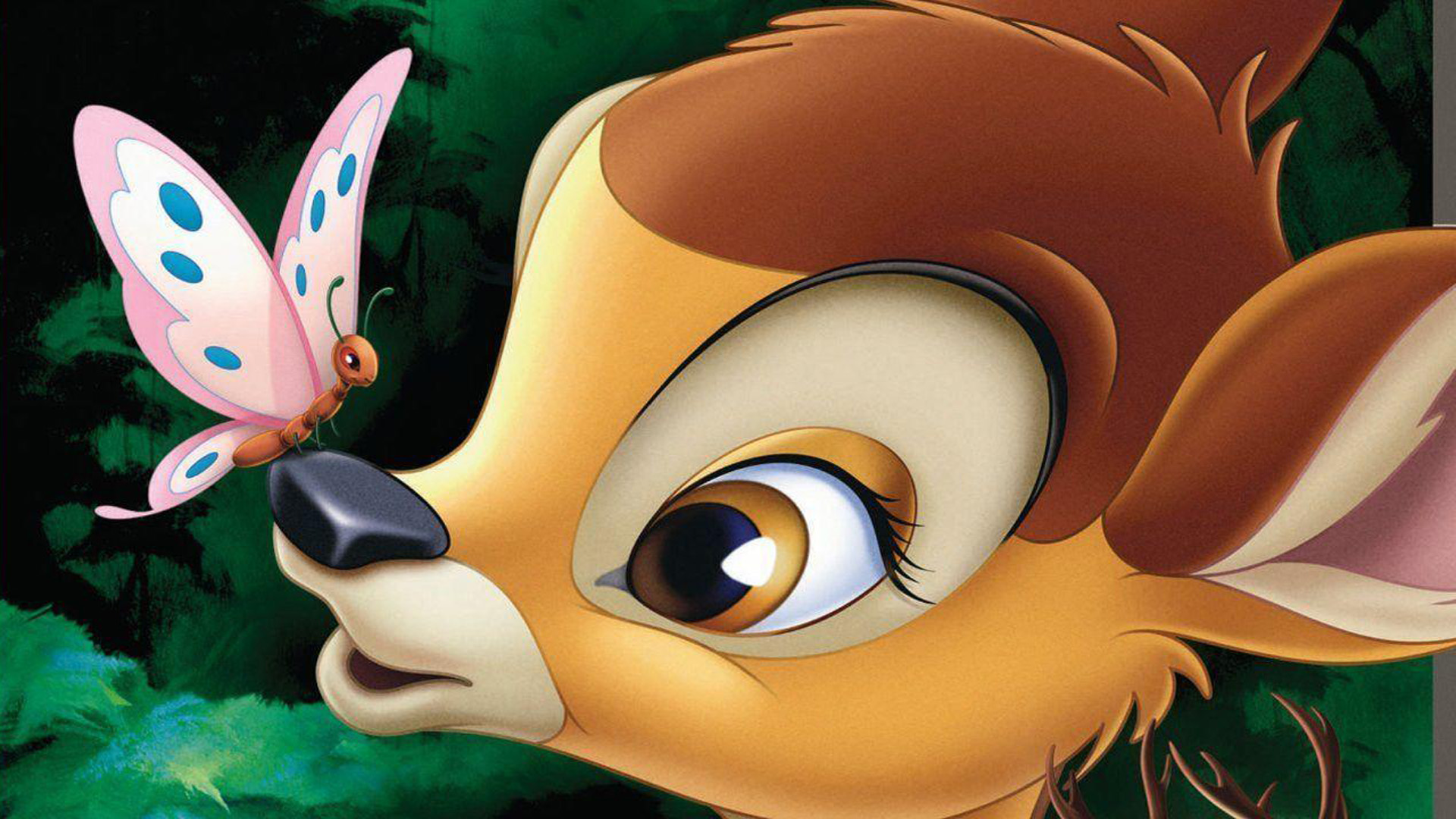 Bambi And Butterfly On The Nose Walt Disney Wallpaper Hd 1920x1080 ...