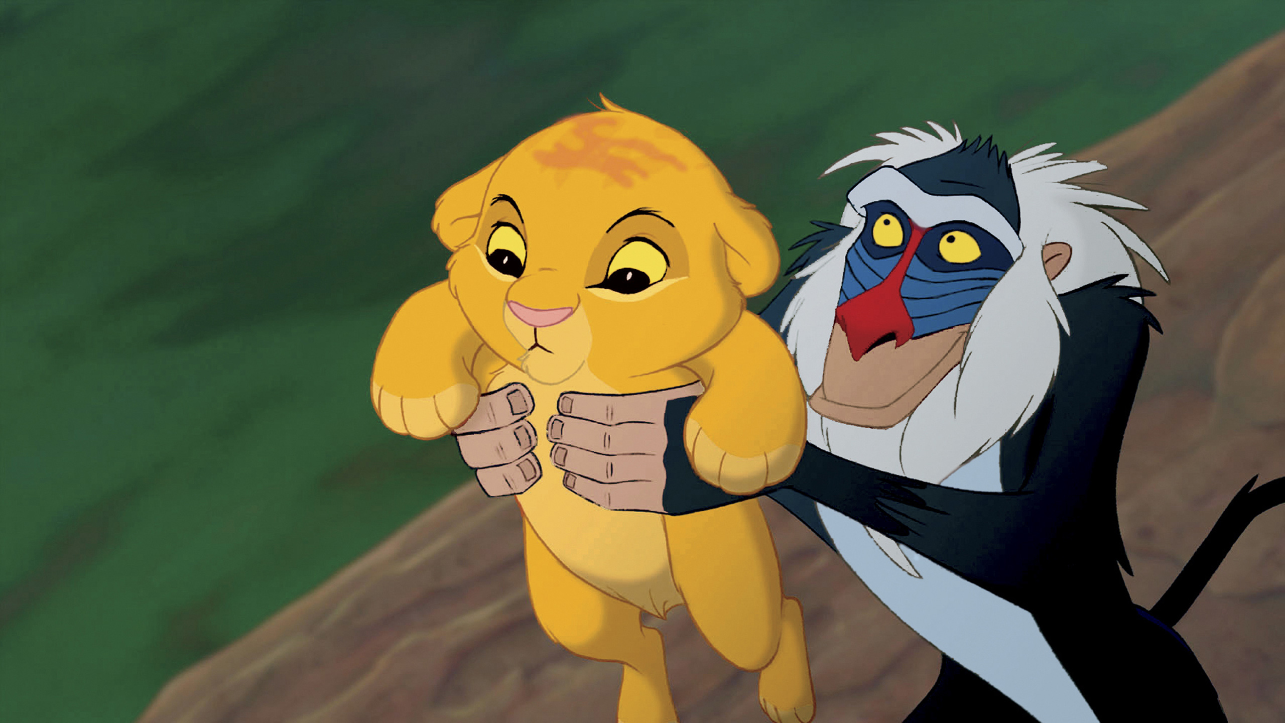 Simba And Rafiki In The "the Lion King."