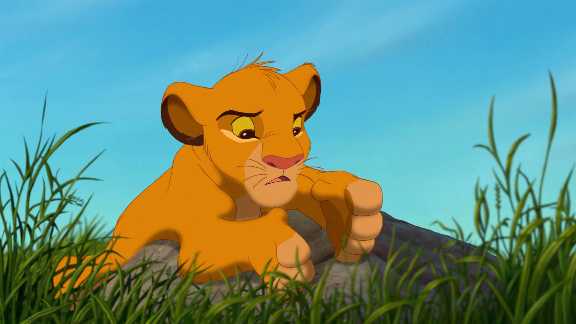 The Lion King Cartoon Adventures Of The Young Lion Simba Wallpaper Hd  1920x1080 : 