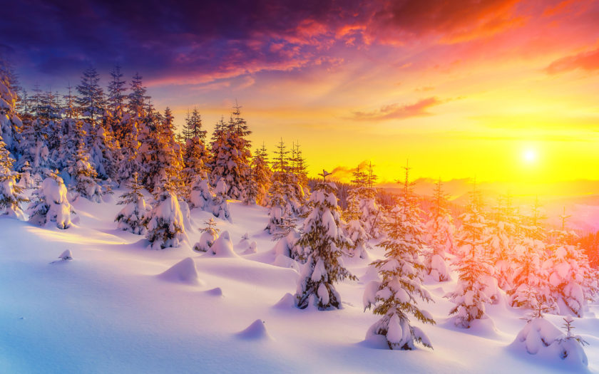Sunset In Winter Landscape Snow Tree Trees Snowdrops Picture Wallpaper Hd  For Desktop 3840x2400 : 
