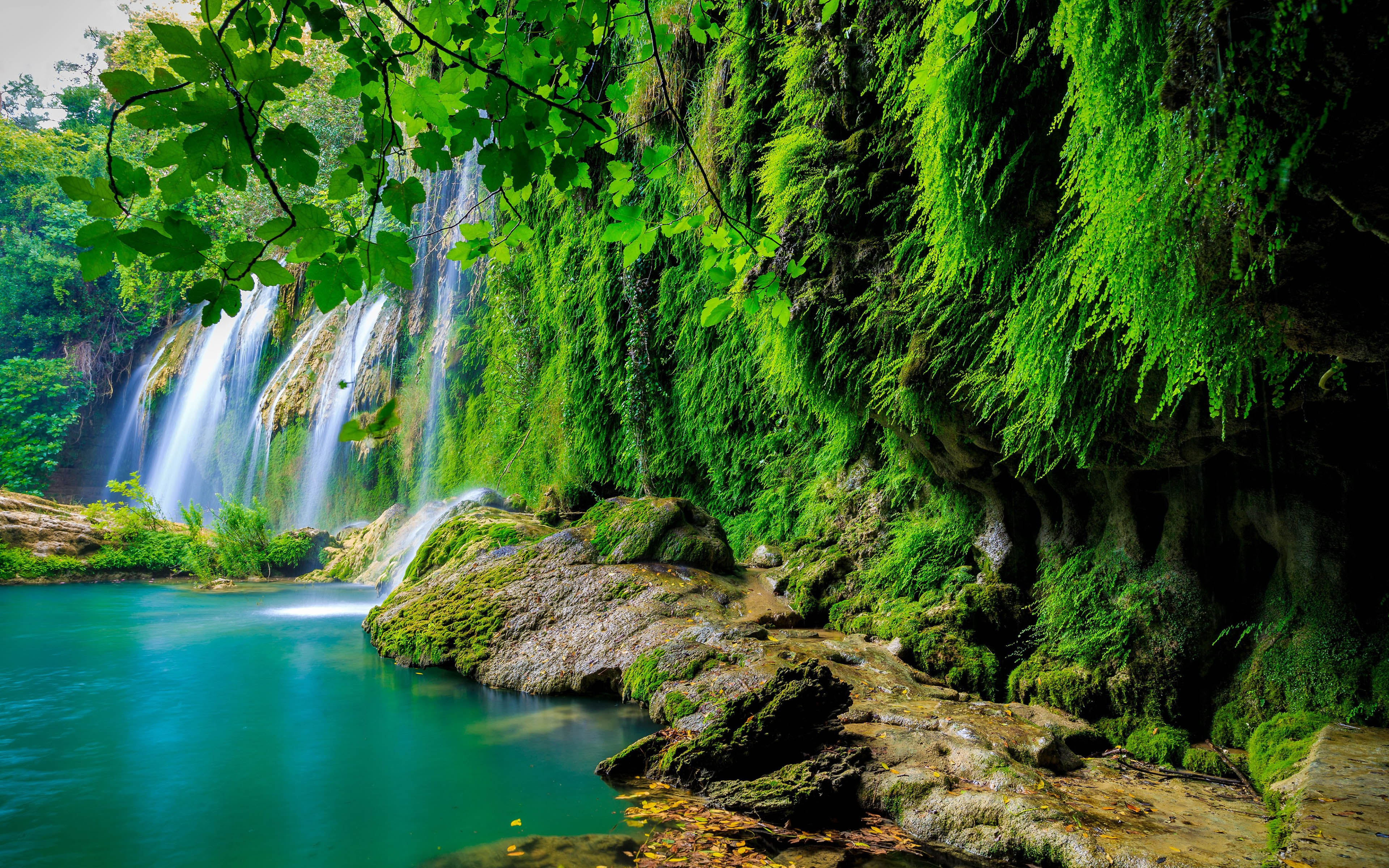 Green Tropical Forest Waterfall Lake Landscape Nature 4k ...
