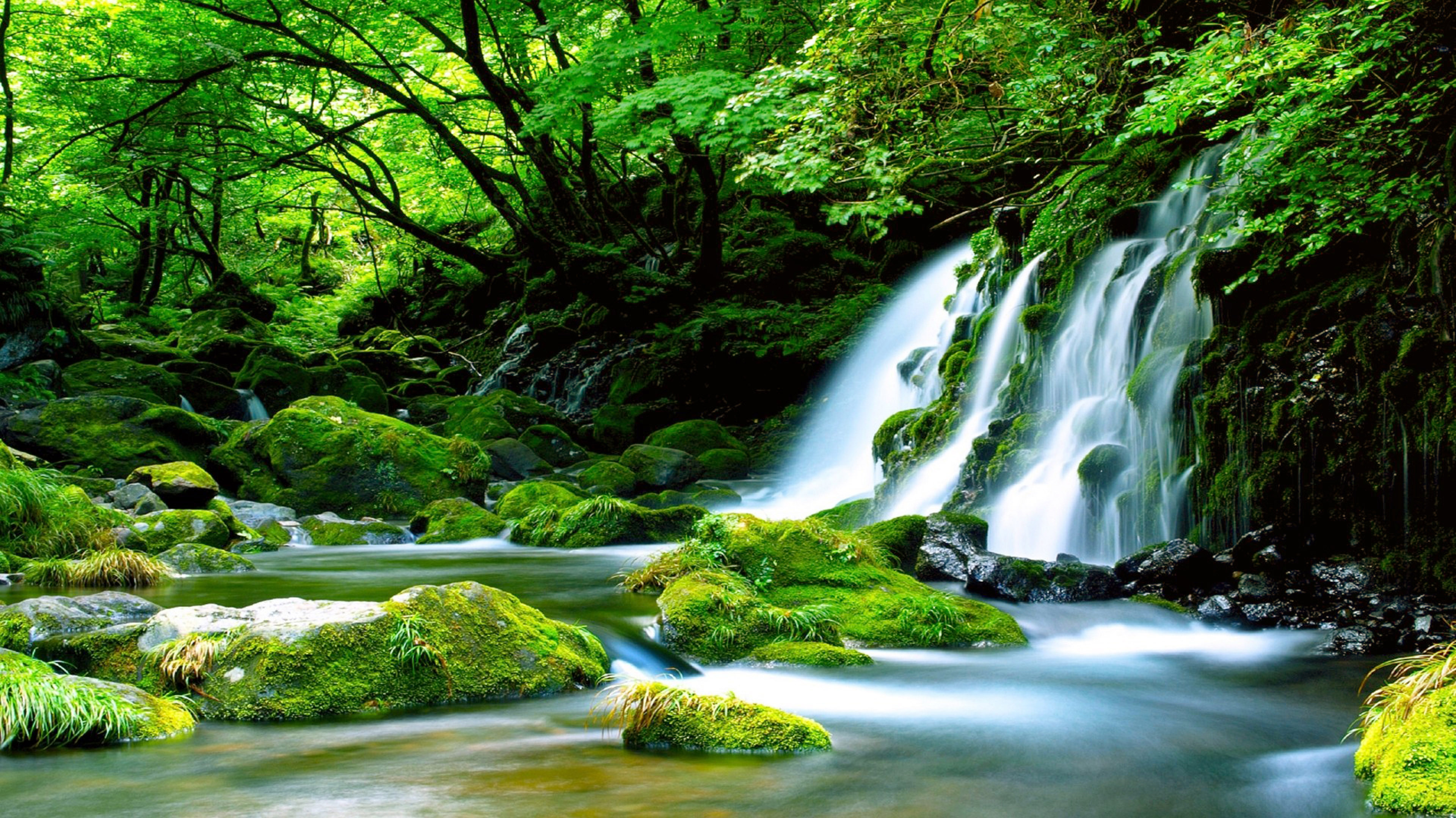 Green Waterfall River Rocks Covered With Green Moss Forest Waterfall ...