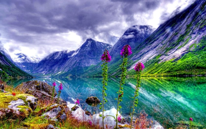Natural Landscape River Valley Flowers Sky Mountain Picture For Desktop ...