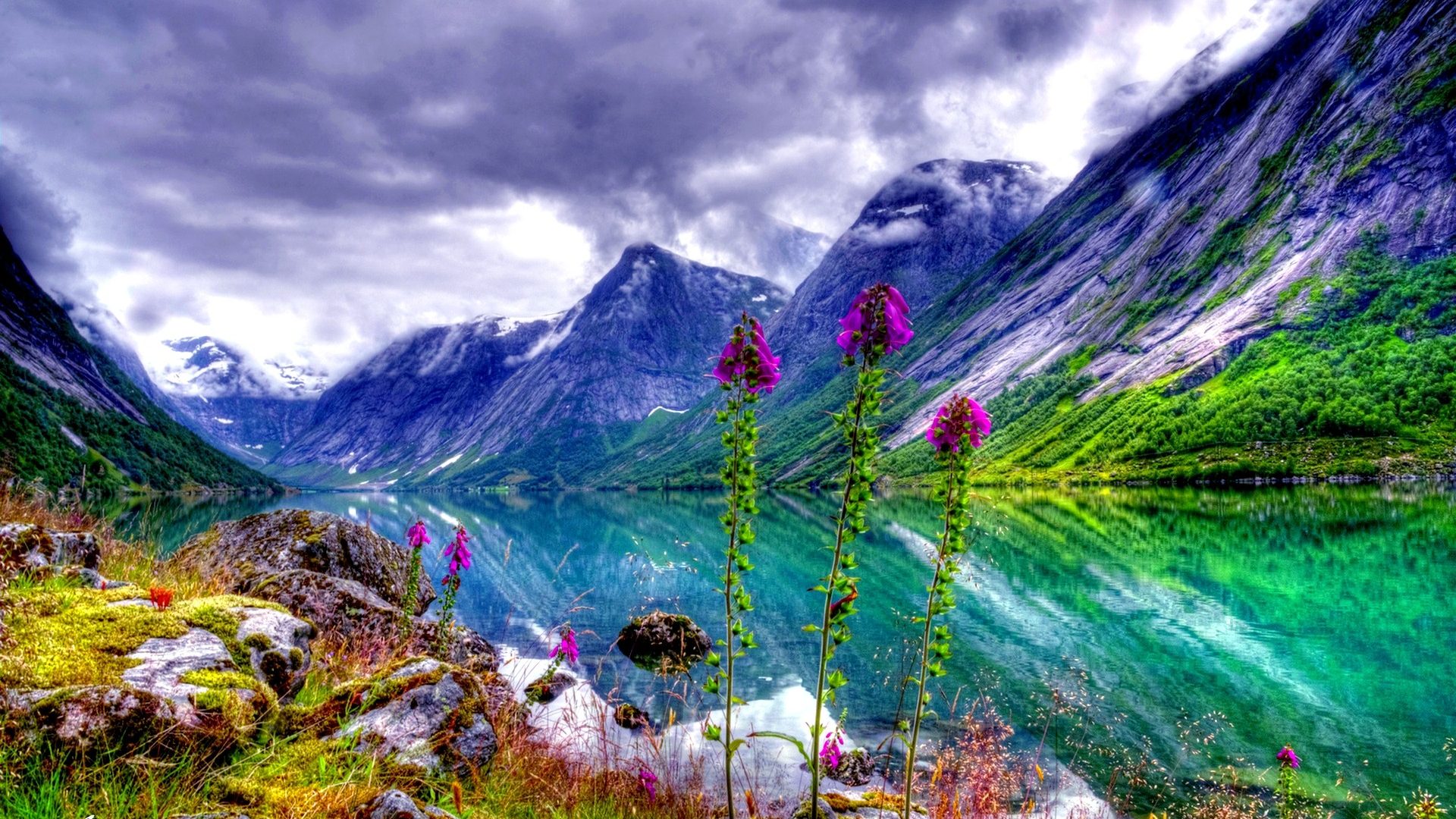 Natural Landscape River Valley Flowers Sky Mountain Picture For Desktop Hd  Wallpaper Pc Tablet Mobile 1920x1080 : 