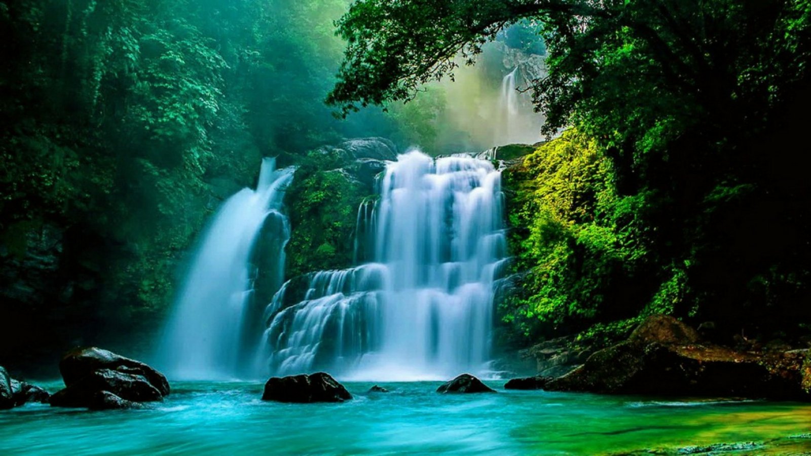 Nauyaca Waterfalls In The Rain Forests Puntarenas Province Costa Rica