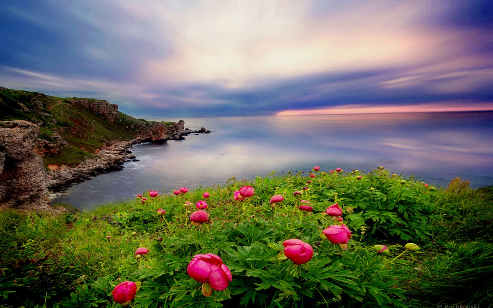 Beautiful Landscape Ocean Coastal Coast Green Vegetation 