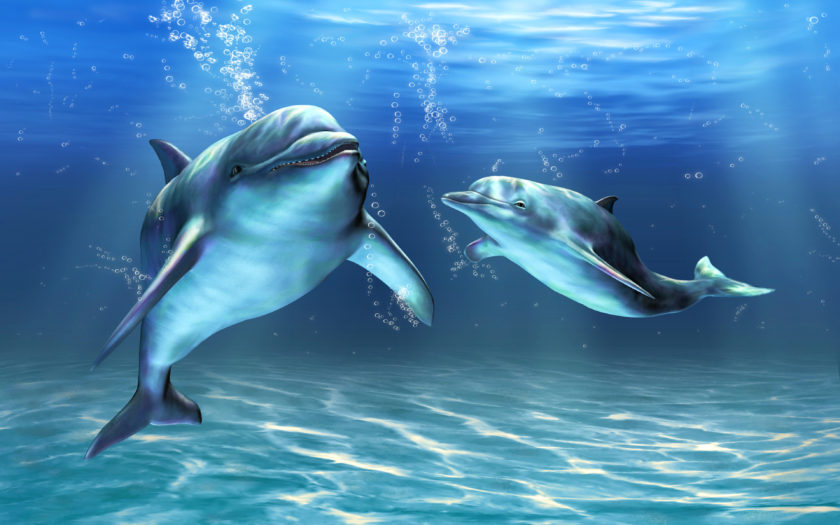 Dolphins Computer Art Wallpaper Hd For Mobile Phones And Laptops ...