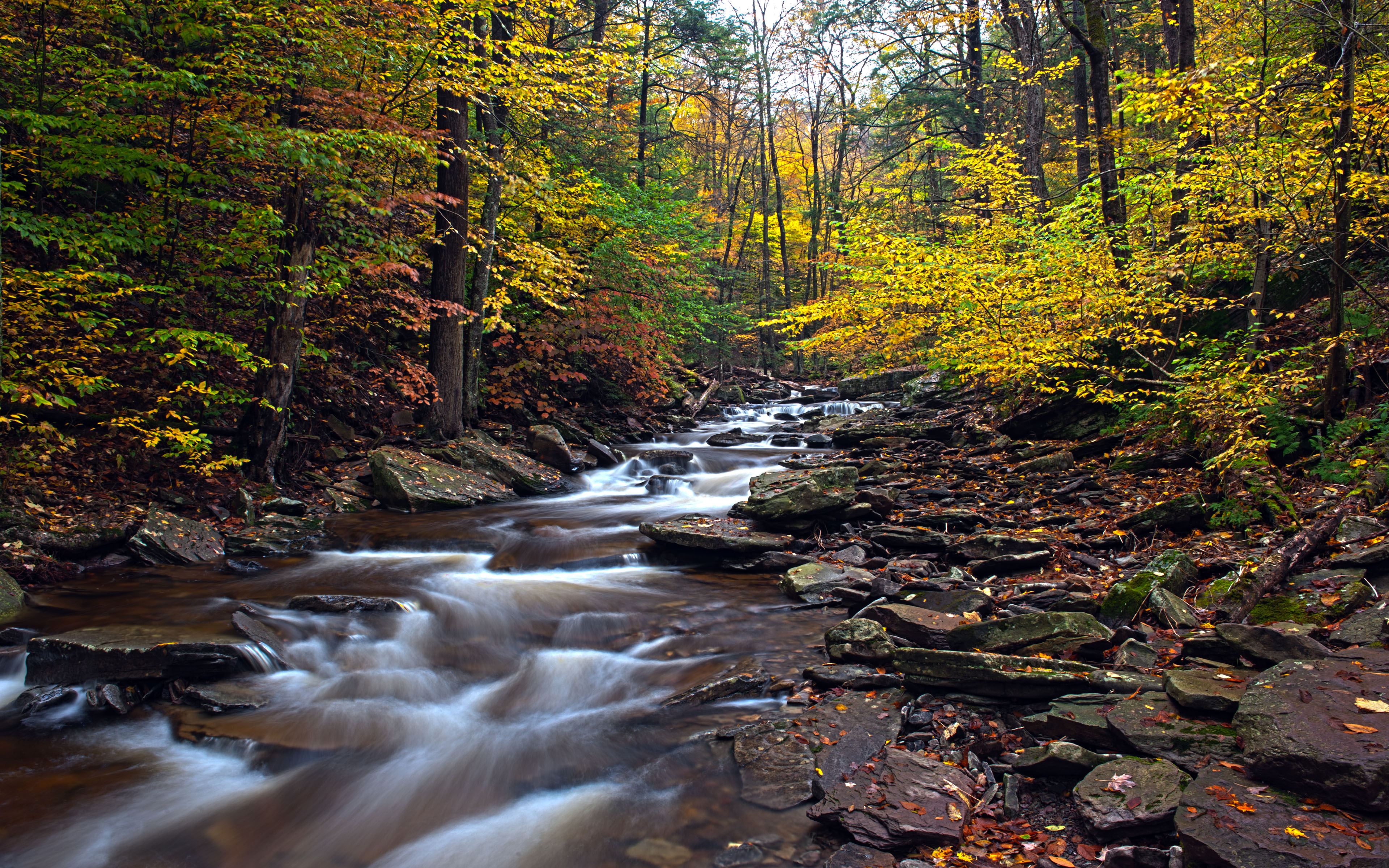 Pennsylvania United States Waterfall Ricketts Glen State Park Autumn