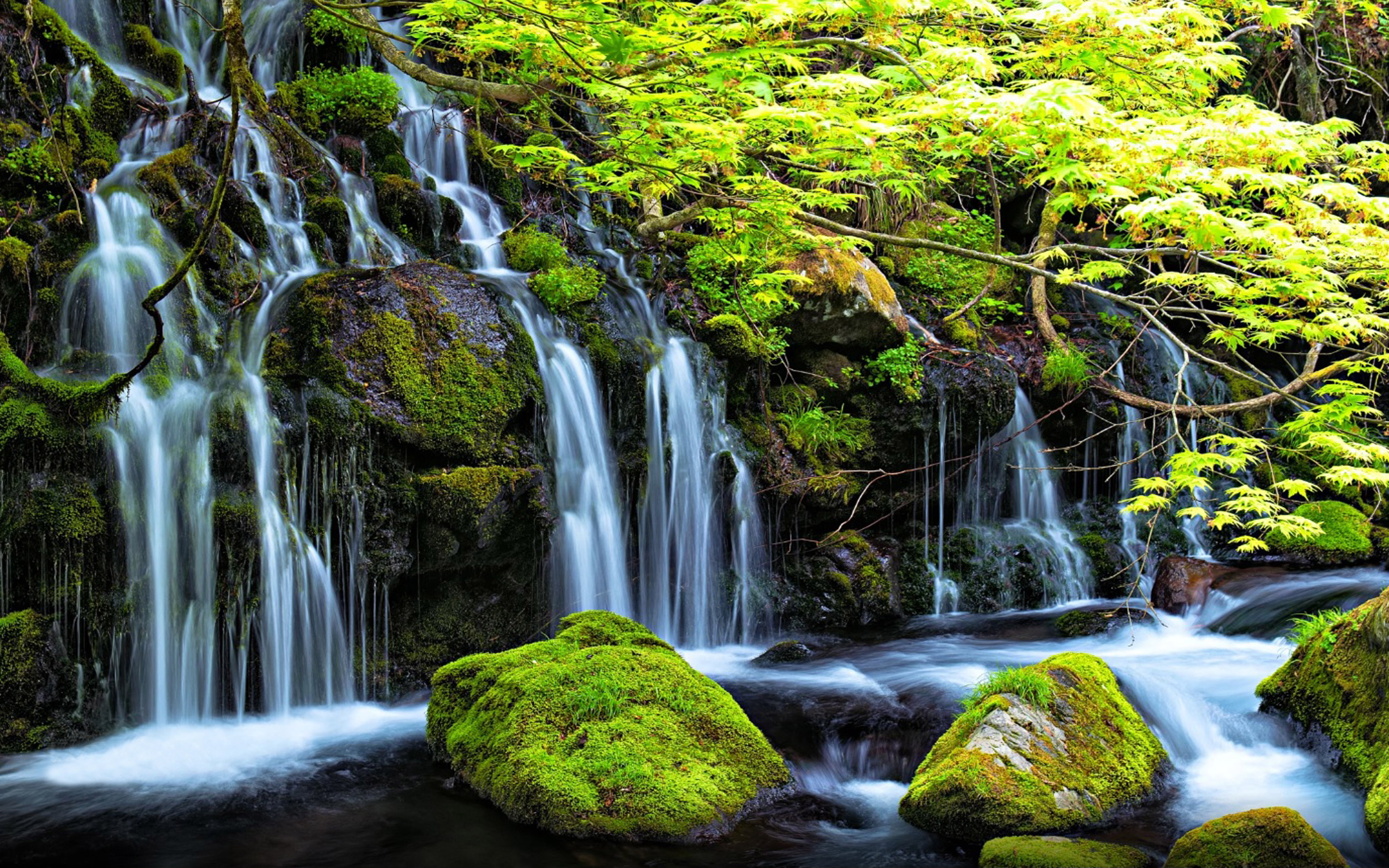 Stream Waterfall In Spring Rocks With Green Moss Clear Water Green ...
