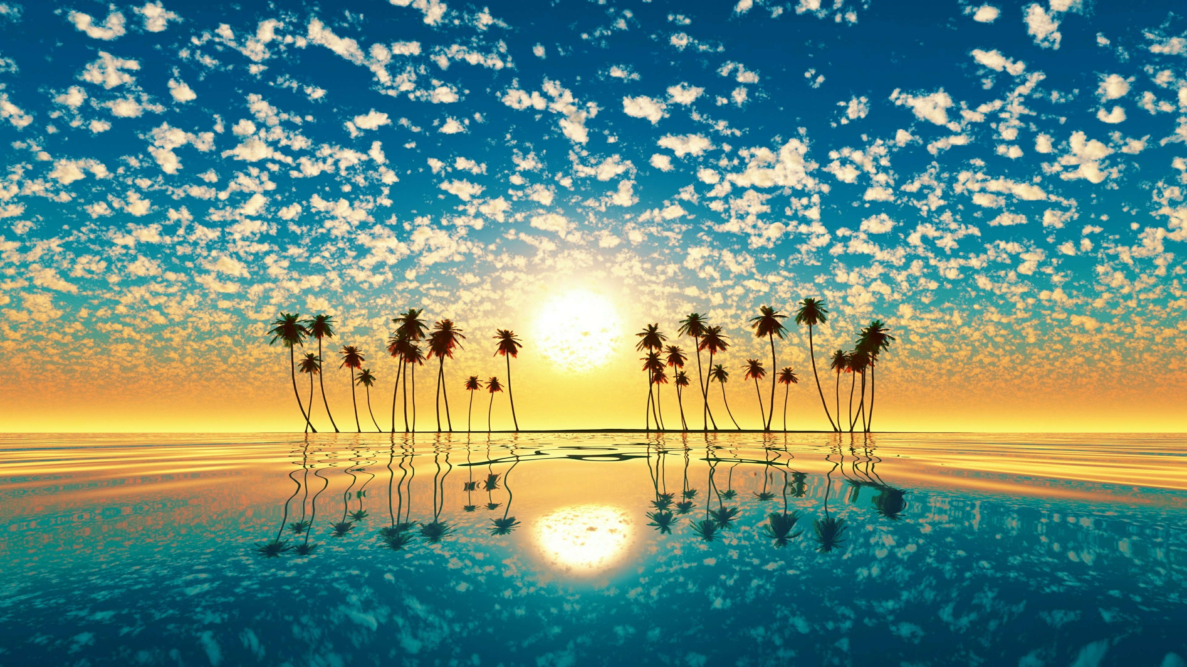 Sunset palm tree Wallpapers Download  MobCup