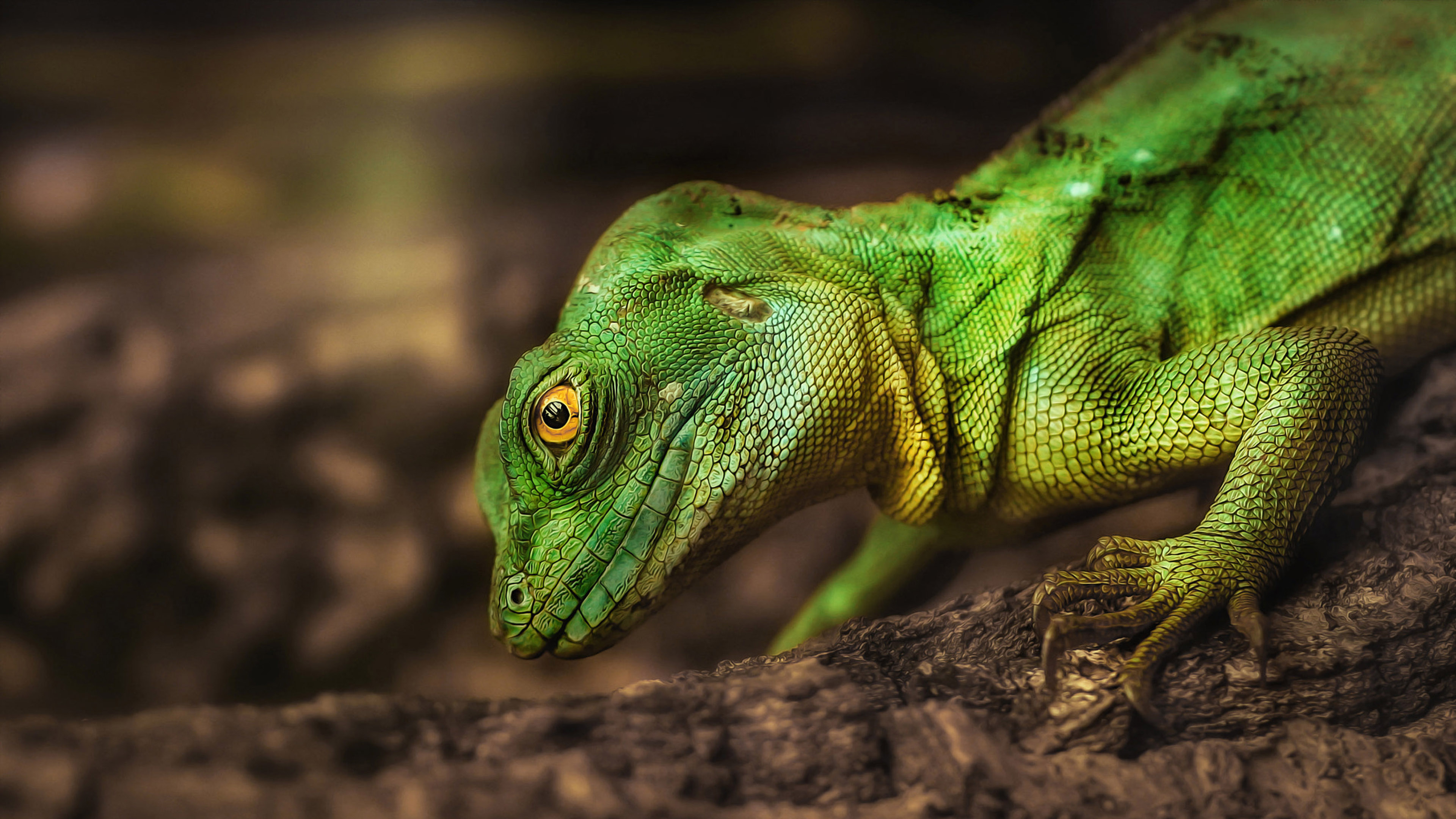  Reptile  Green Iguana  Anxious Looking Lizard From Game 