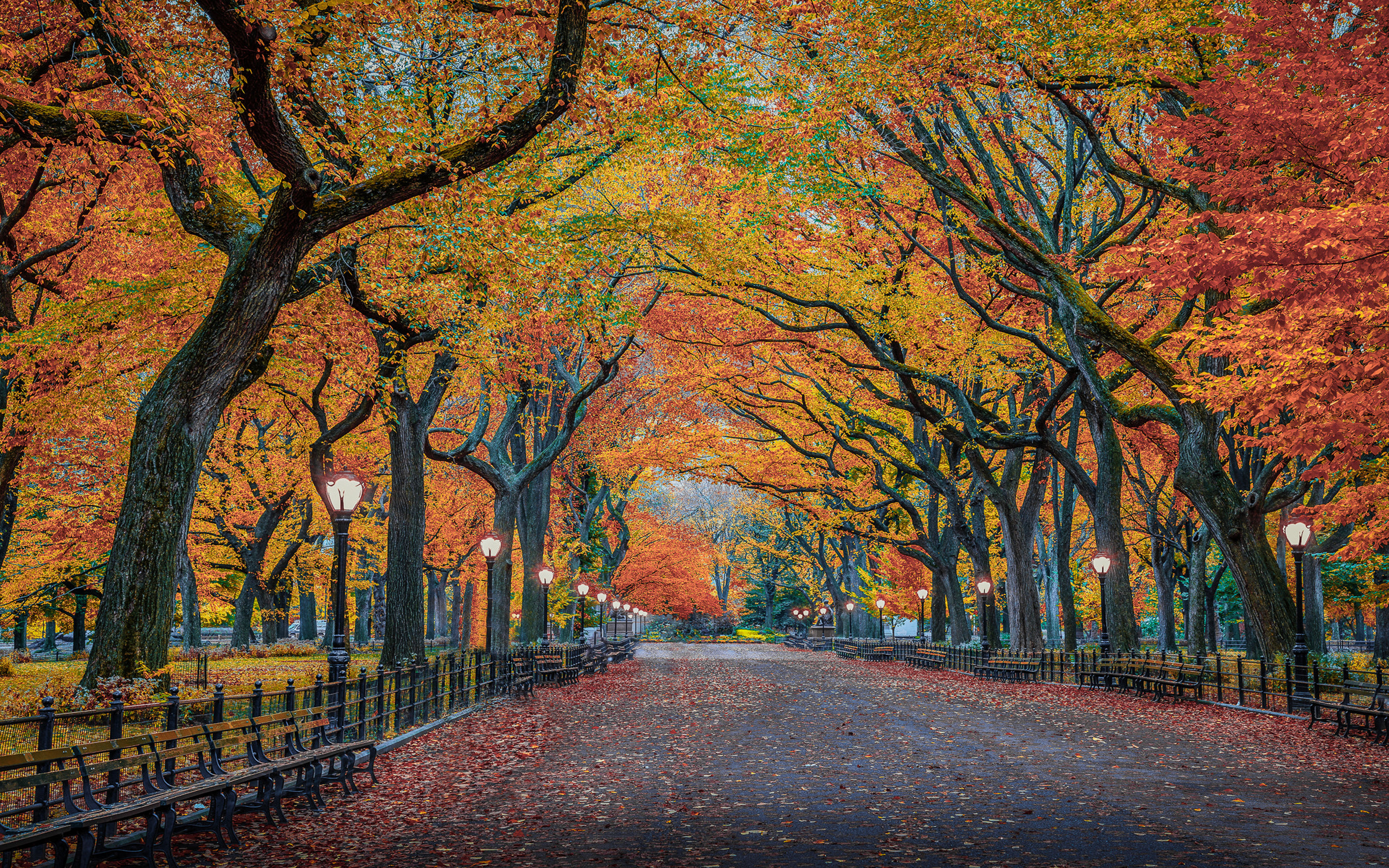 Осенний Нью Йорк Фото