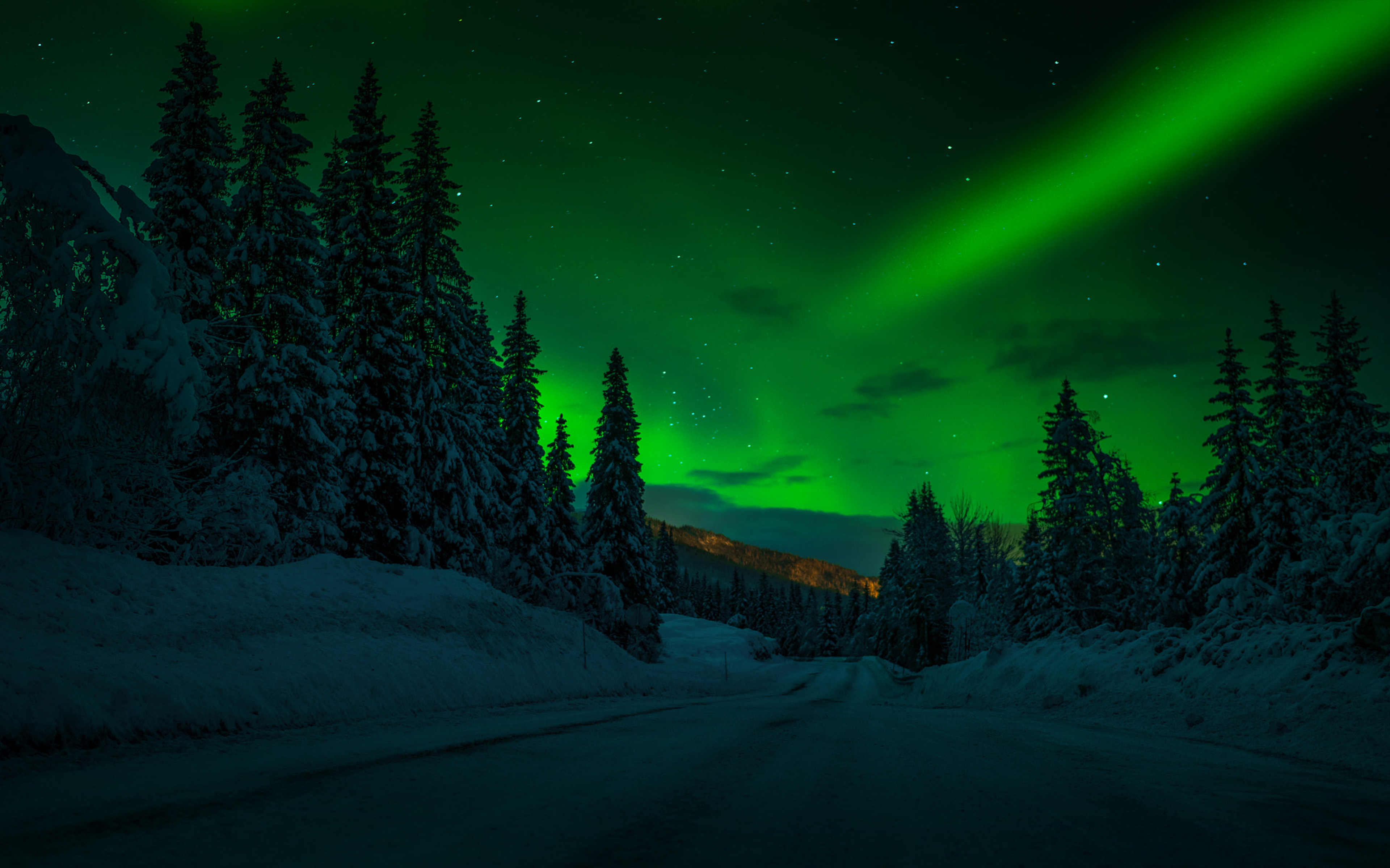 Norway Night Winter Snow Road Trees Trees Stars Stars Sky Polar Lights