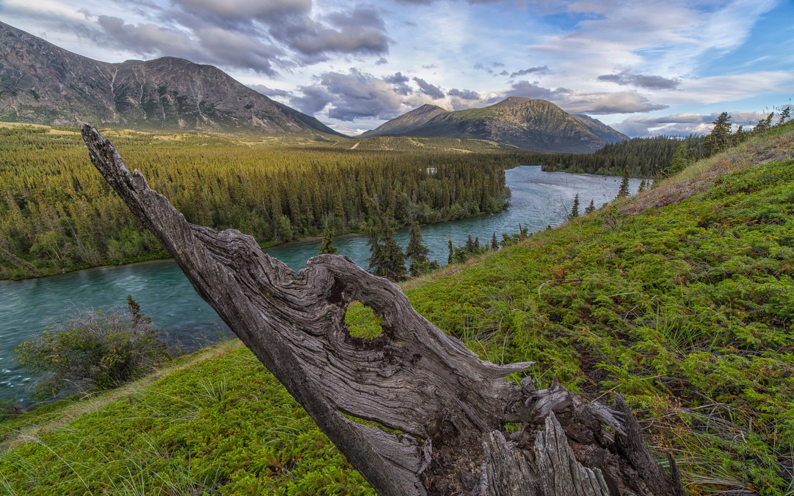 Takhini River Valley Yukon Territory Canada Nature Landscape Best