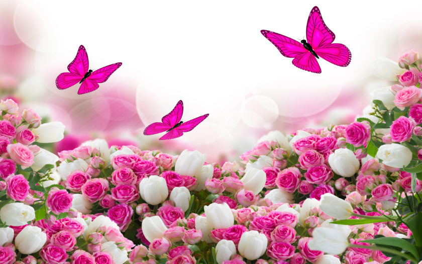 Flower Bouquet White And Pink Roses And Flying Butterflies Hd Wallpaper  Download For Mobile And Tablet 3840х2400 : 