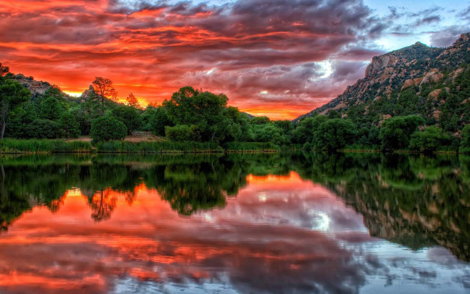 Sunset Orange Sky Sunset Mountain Meadow With Flowers Pine Trees