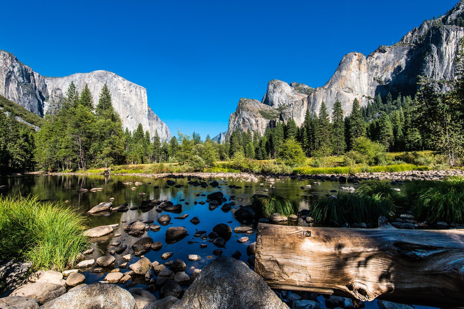 Summer In Yosemite National Park In Californias Sierra Nevada