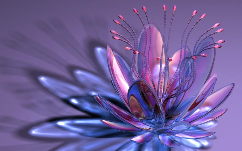 Aquarius Glass Flower Hd Wallpaper