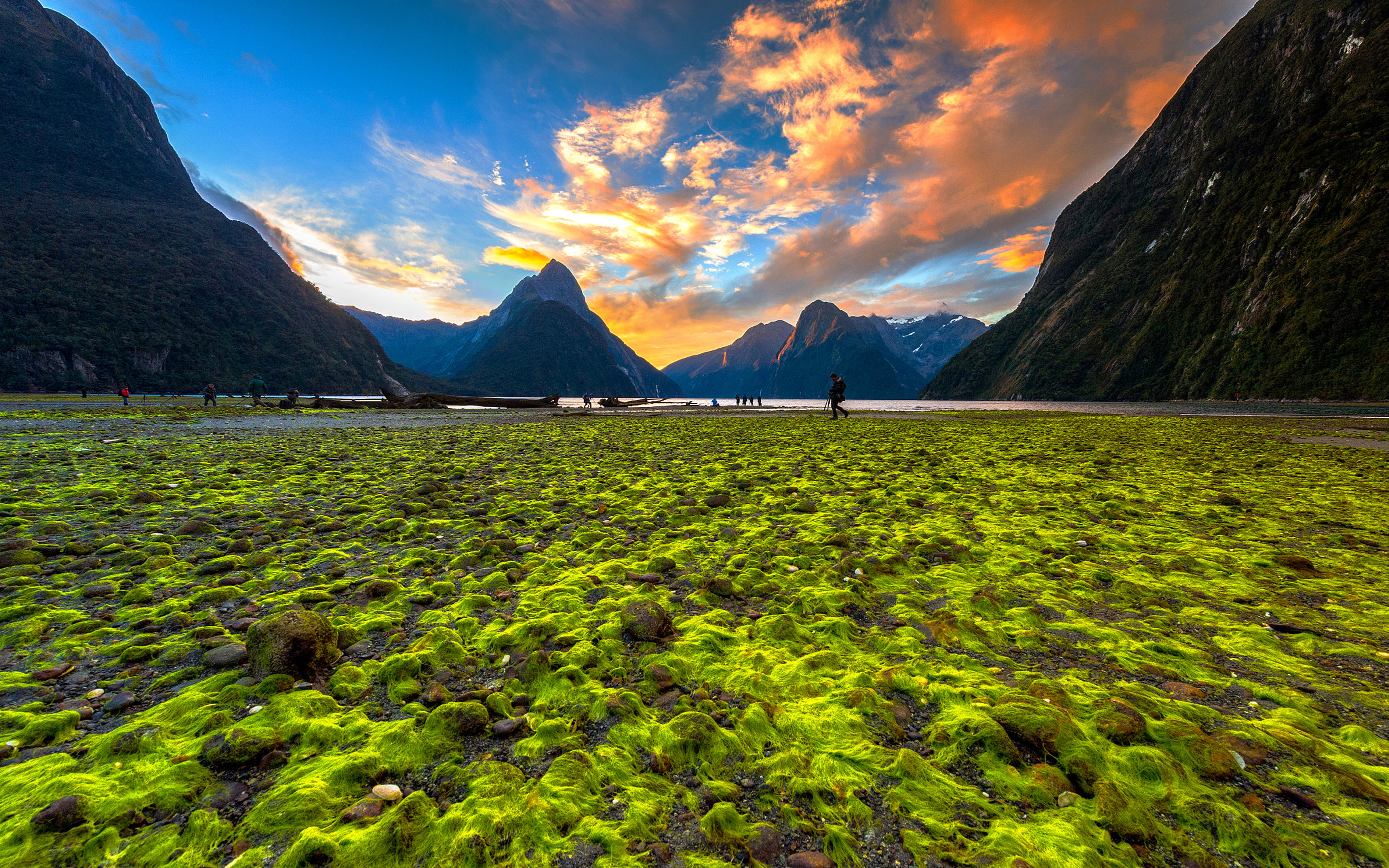Milford Sound Located On The Southwestern Side Of The Southern Island