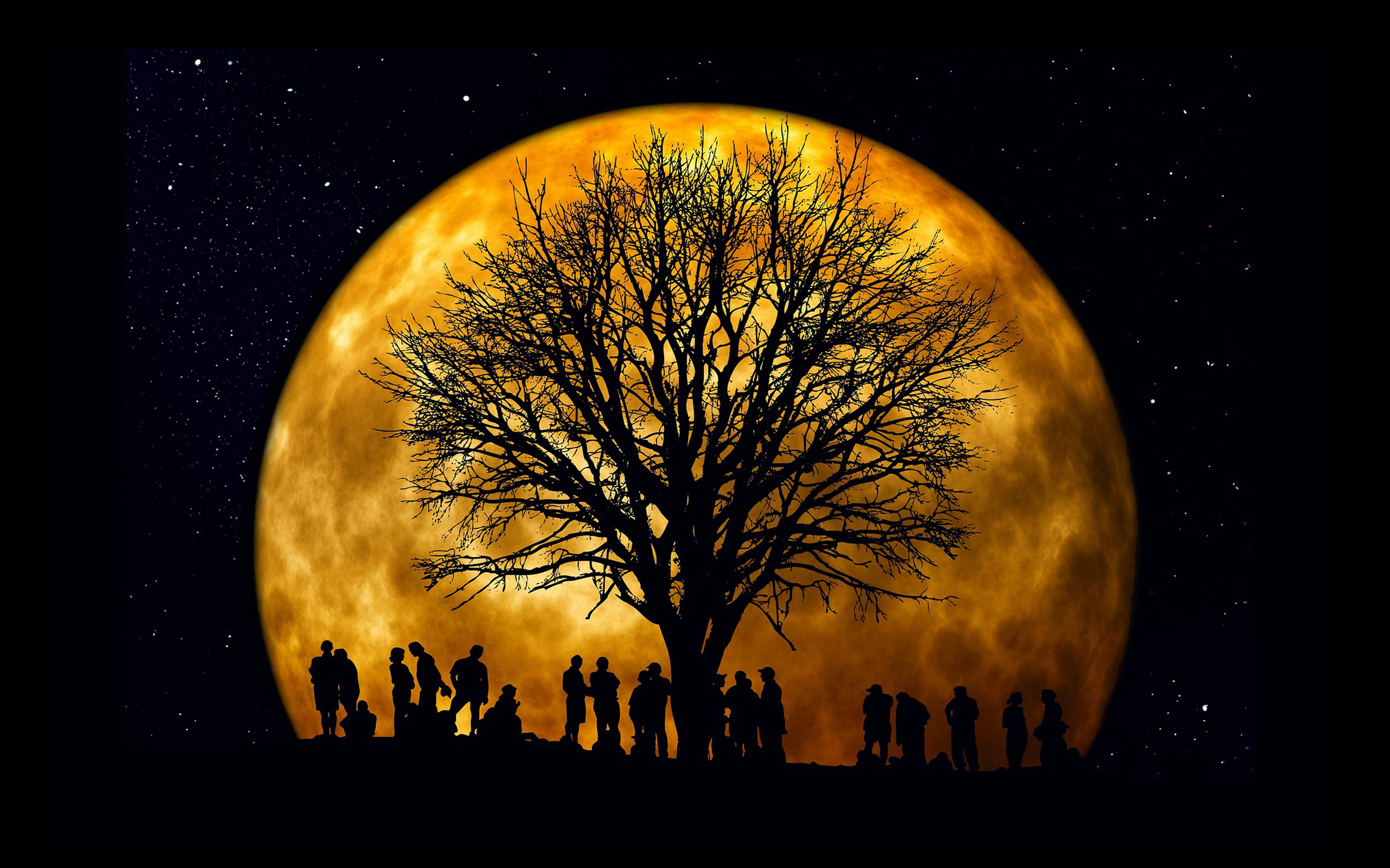 Orange Full Moon Night Star Sky Tree Canopy Branches People Hd Desktop