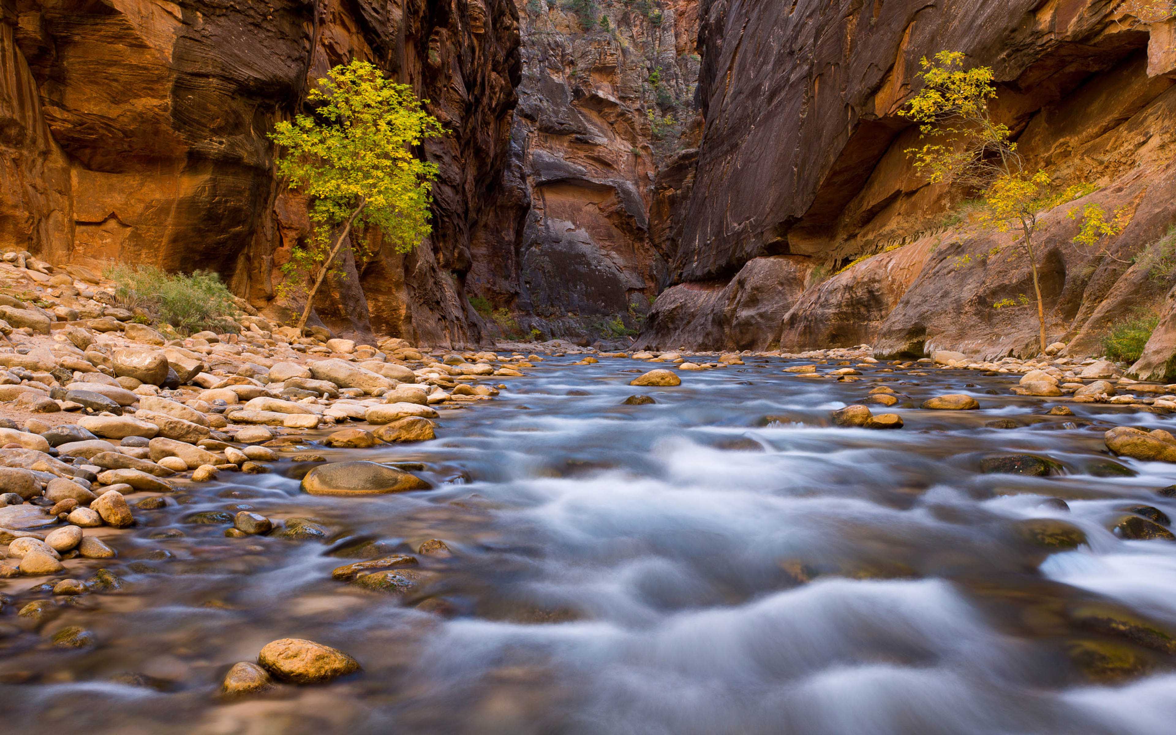 Virgin River Hiking The Zion National Park The Narrows USA Landscape