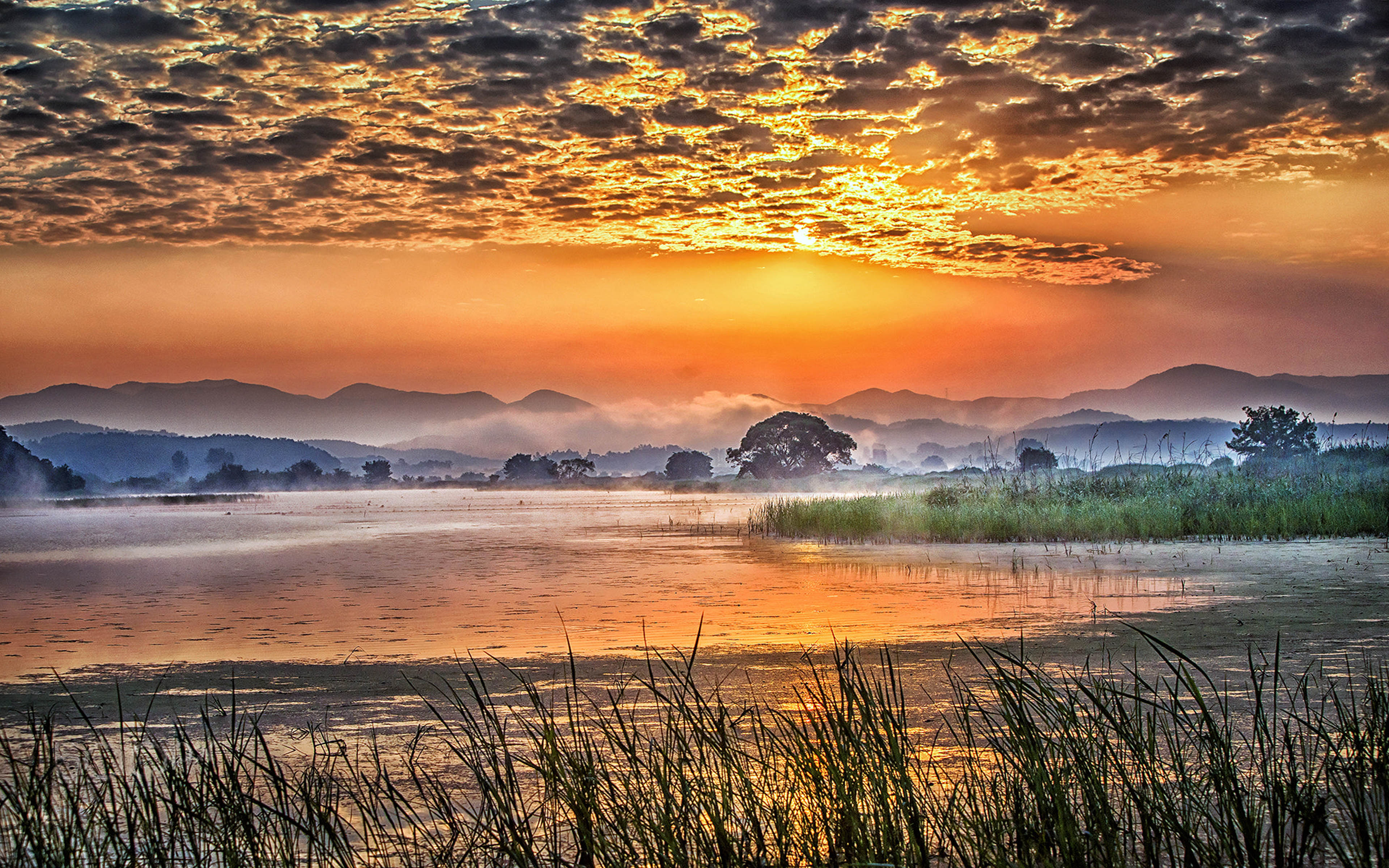 Sunrise Landscape Photography Early Morning Swamp Evaporation Streaming Sky  Download 4k Wallpaper Images For Your Desktop Background : 